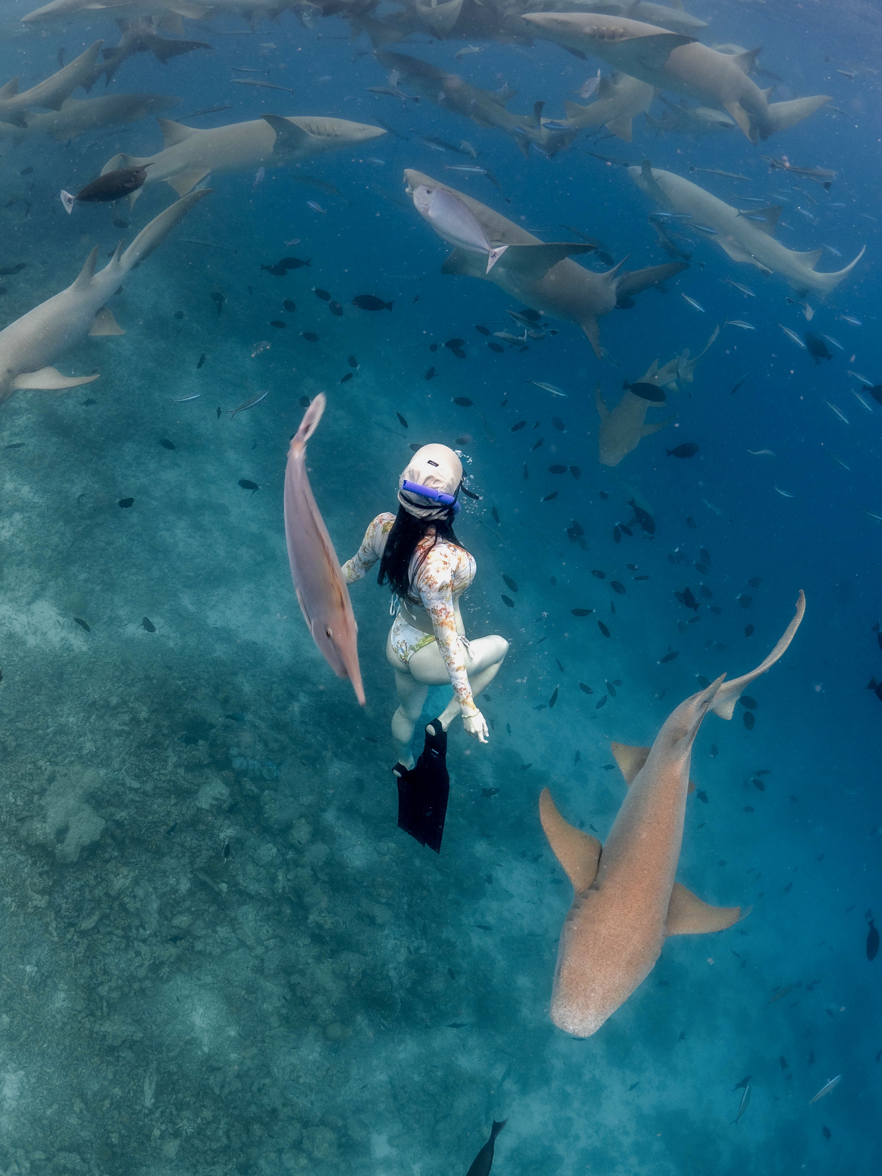 6D5N Manta風暴共游之旅