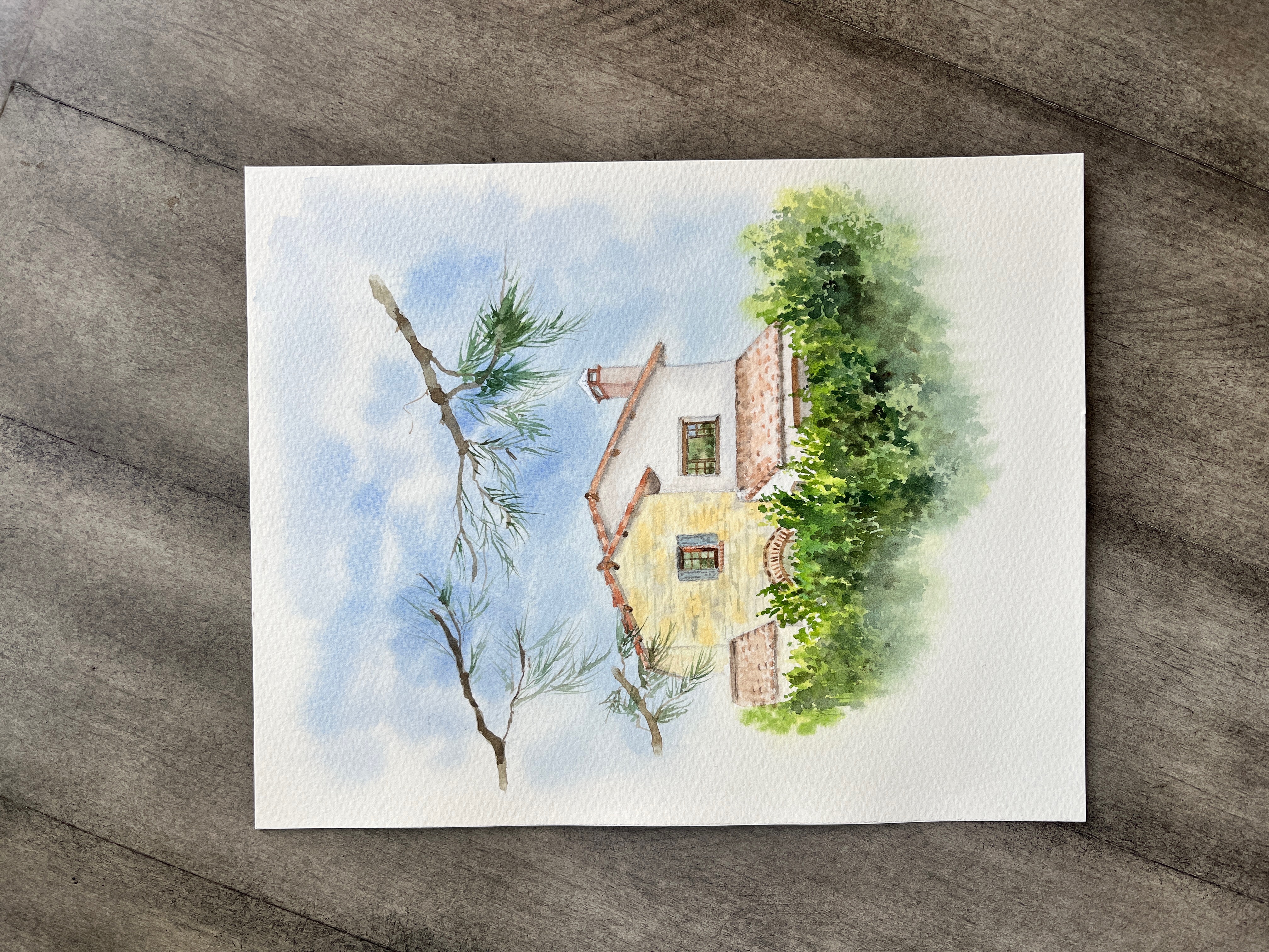 Newport Coast Cypress