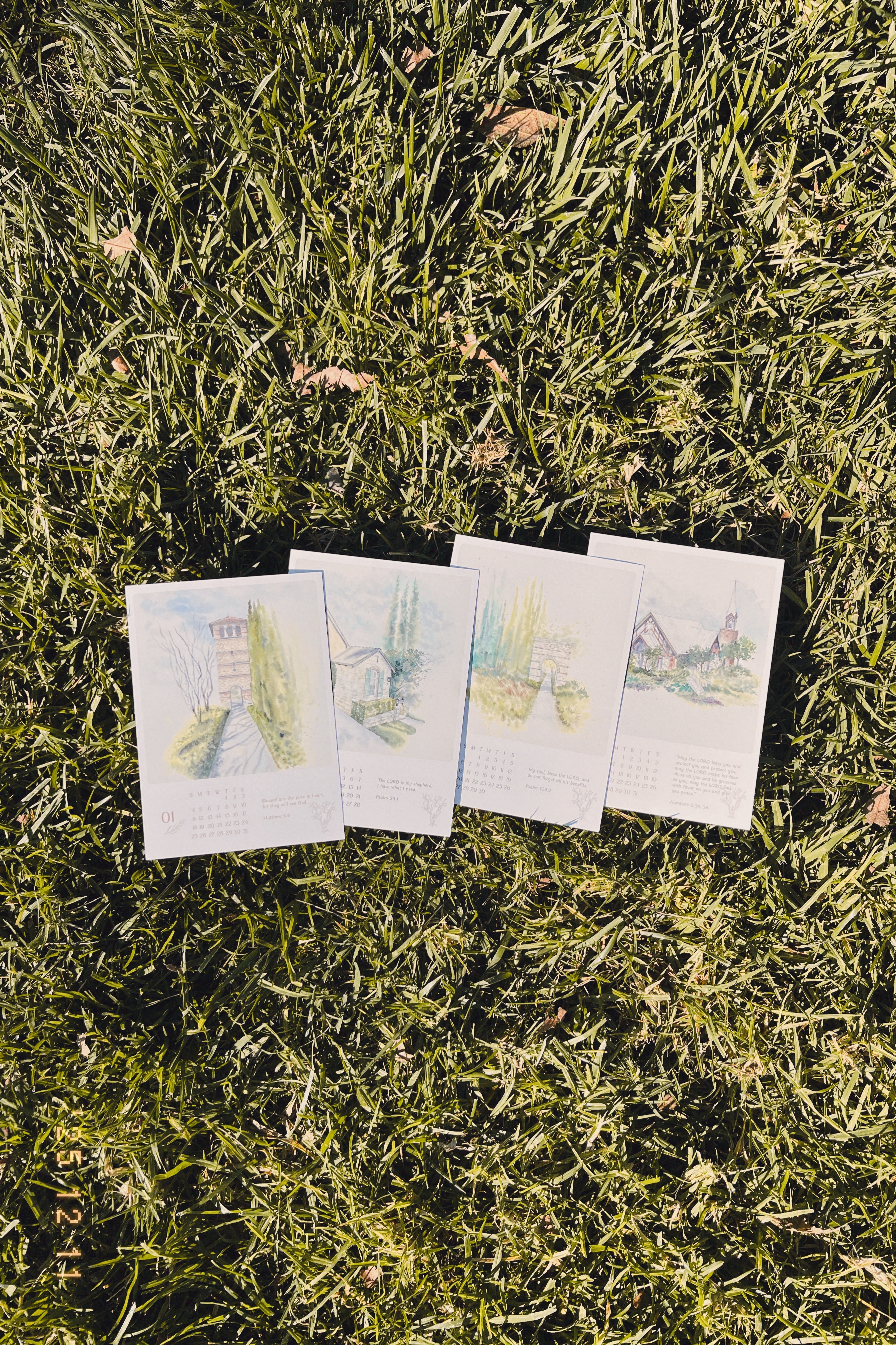 Neighborhood Beauty: 2026 Calendar