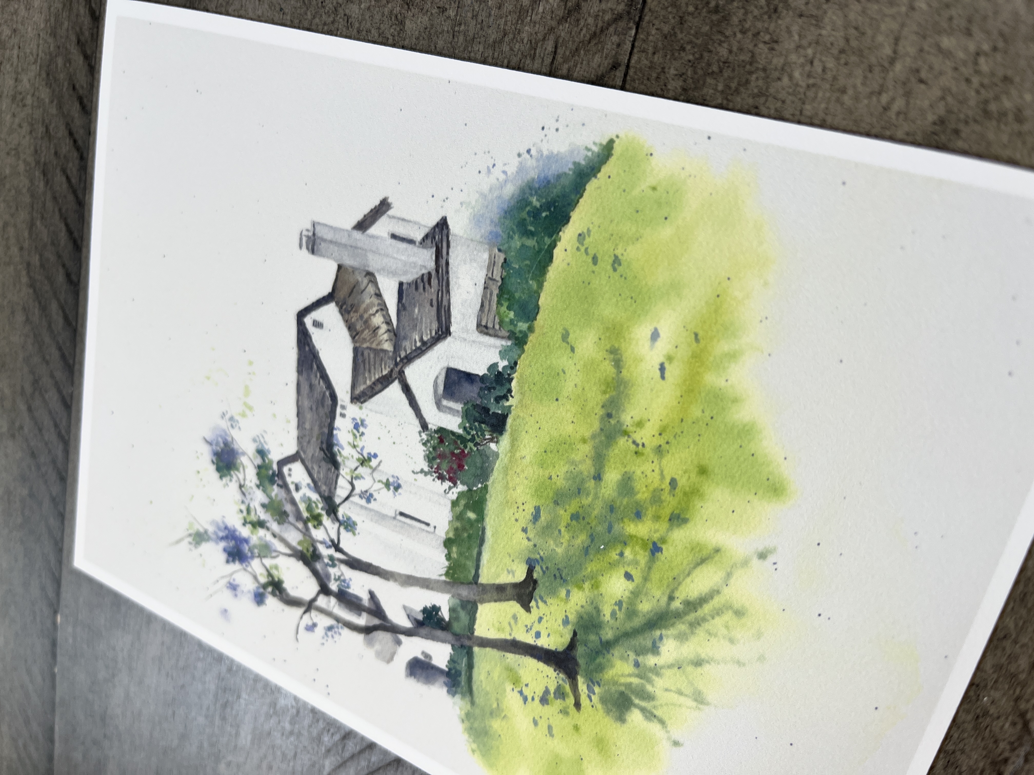 Postcard - Springbrook