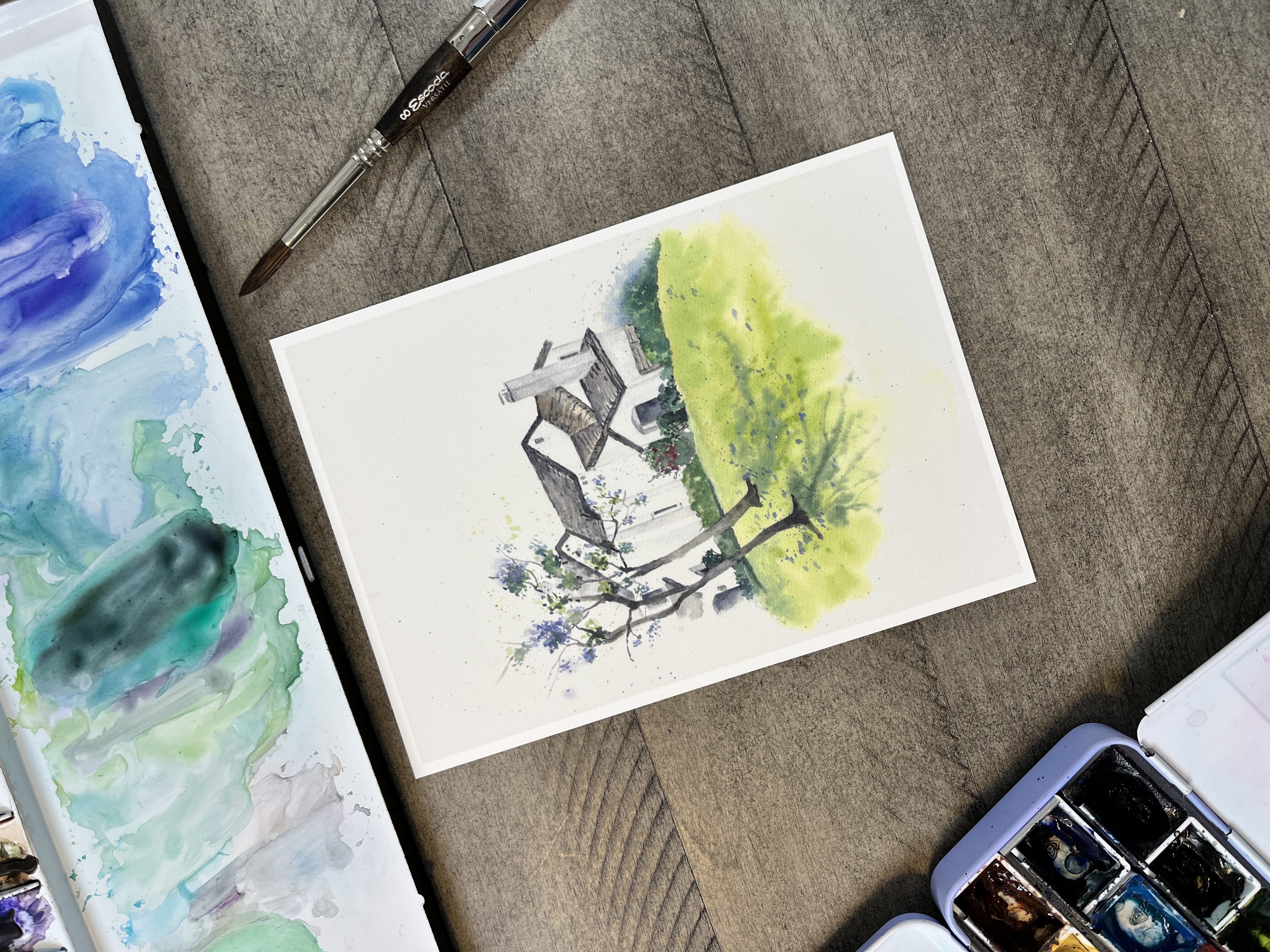 Postcard - Springbrook