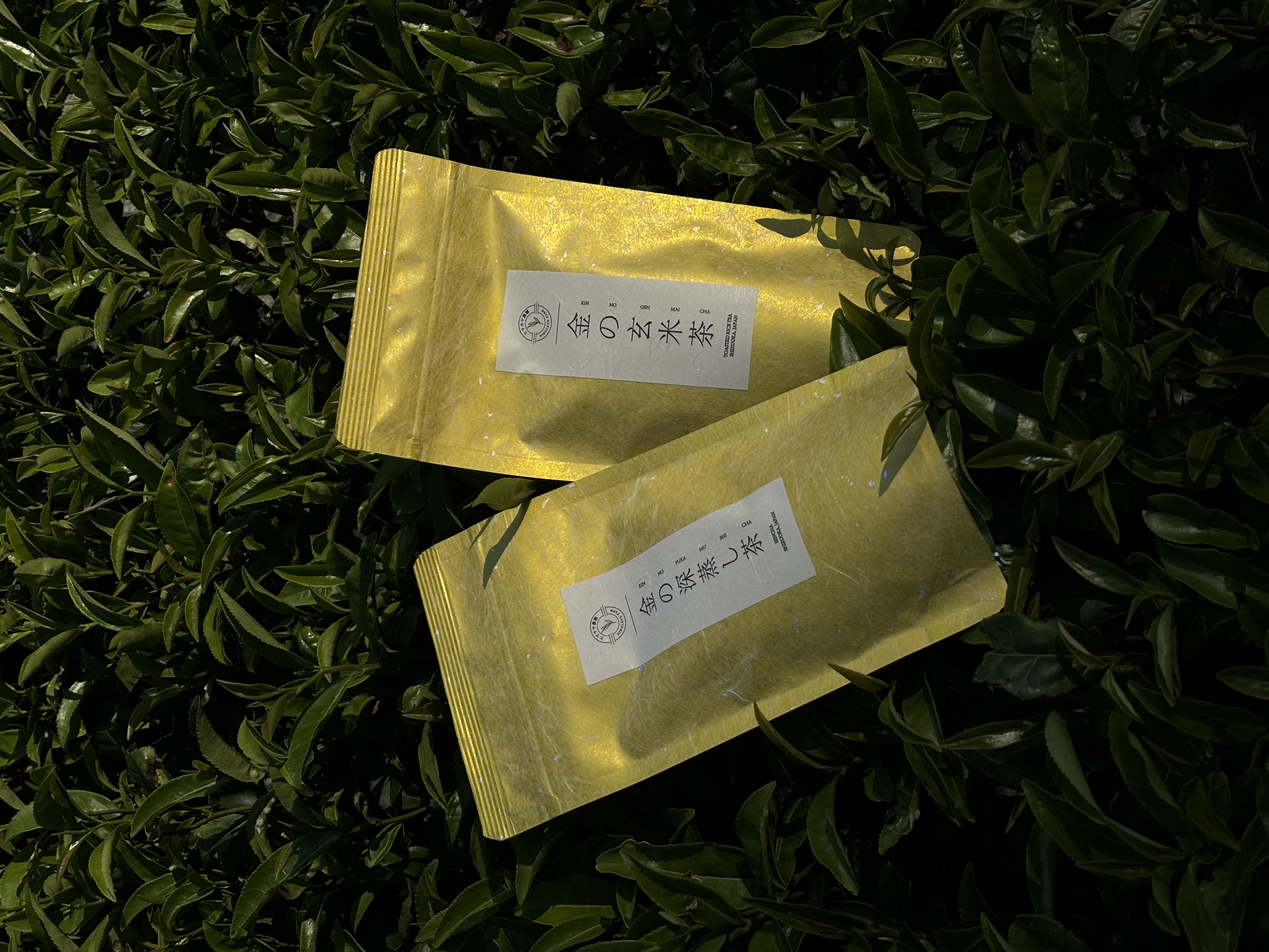 RYUSEIDO GENMAI TEA
