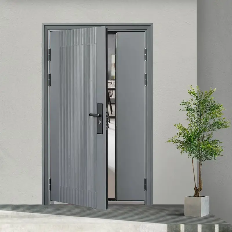 Modern Gray Security Door
