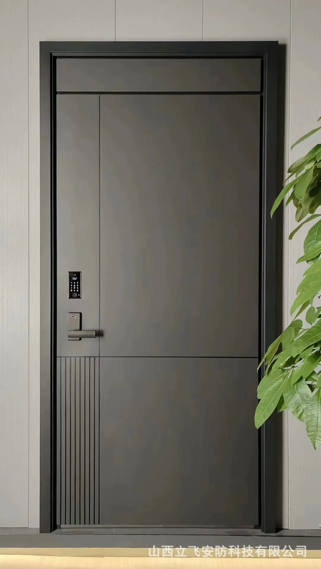 Modern Security Door