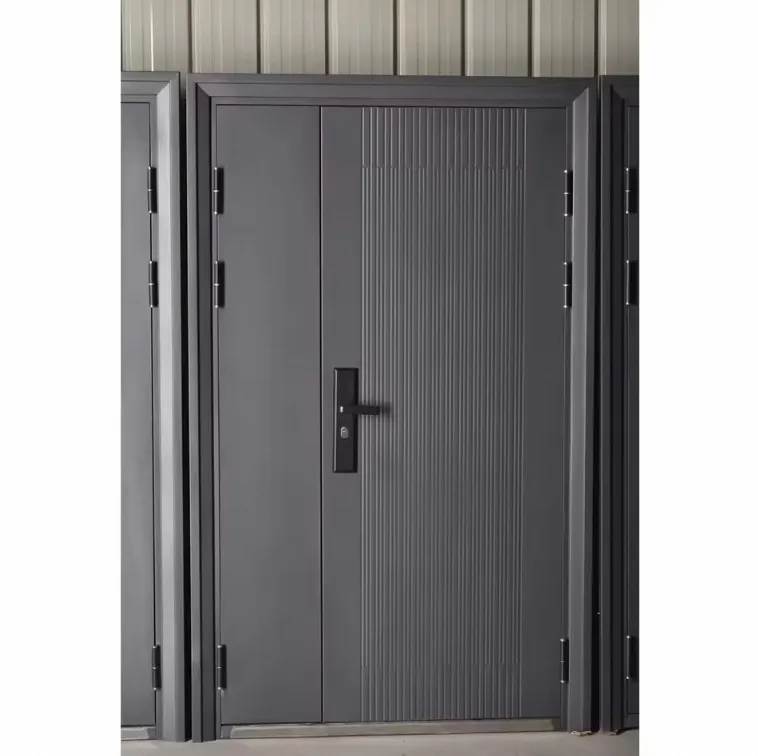 Modern Security Door