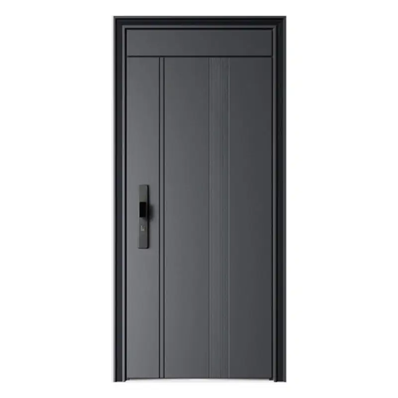 Modern Steel Door