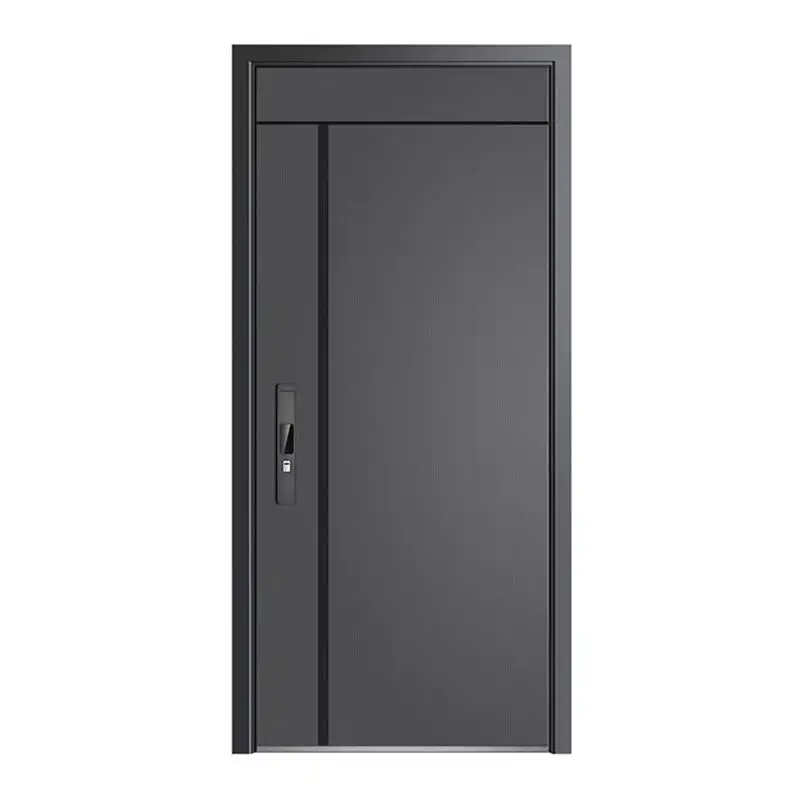 Modern Steel Door