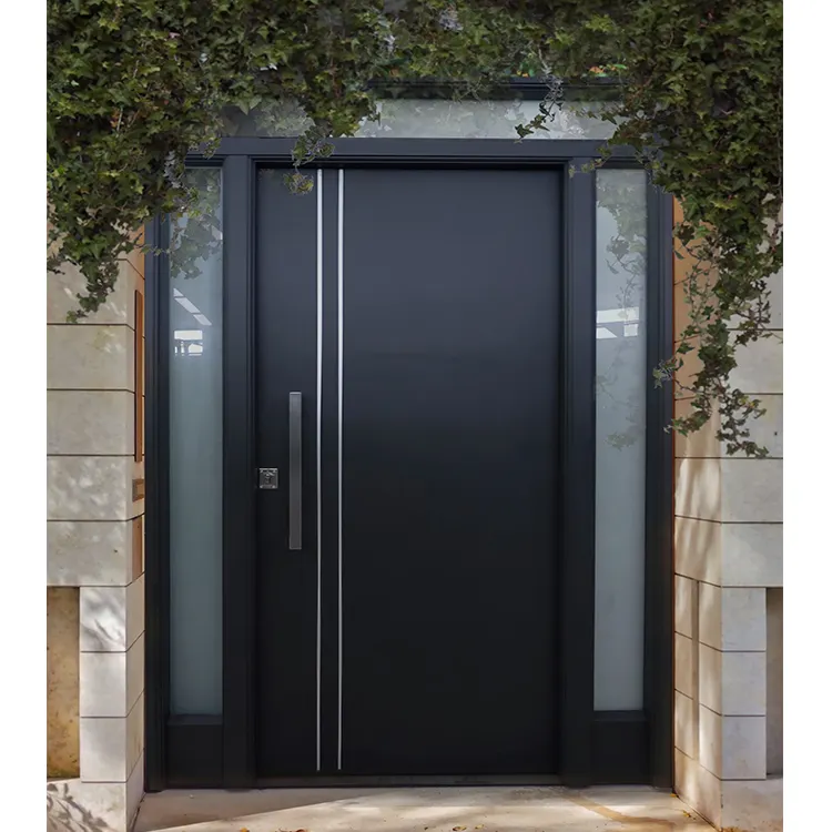 Modern Steel Doors