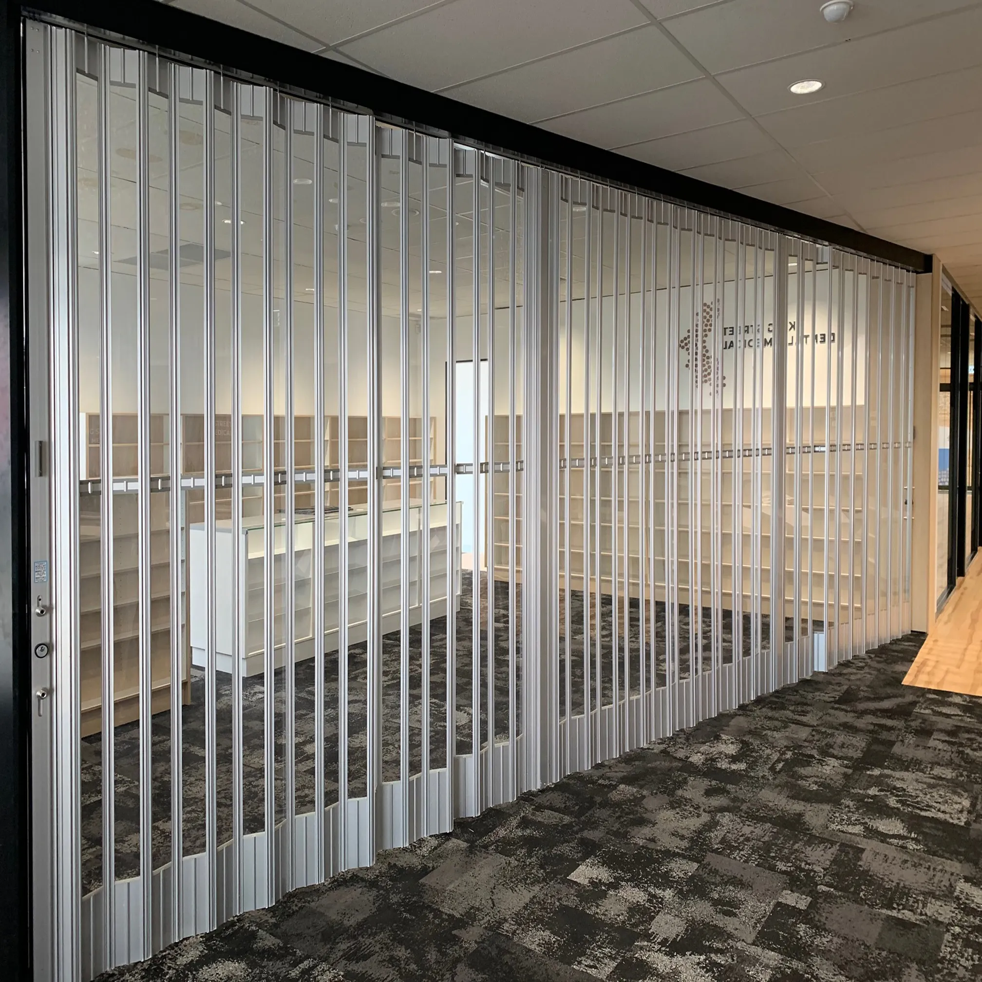 Accordion Partition Door