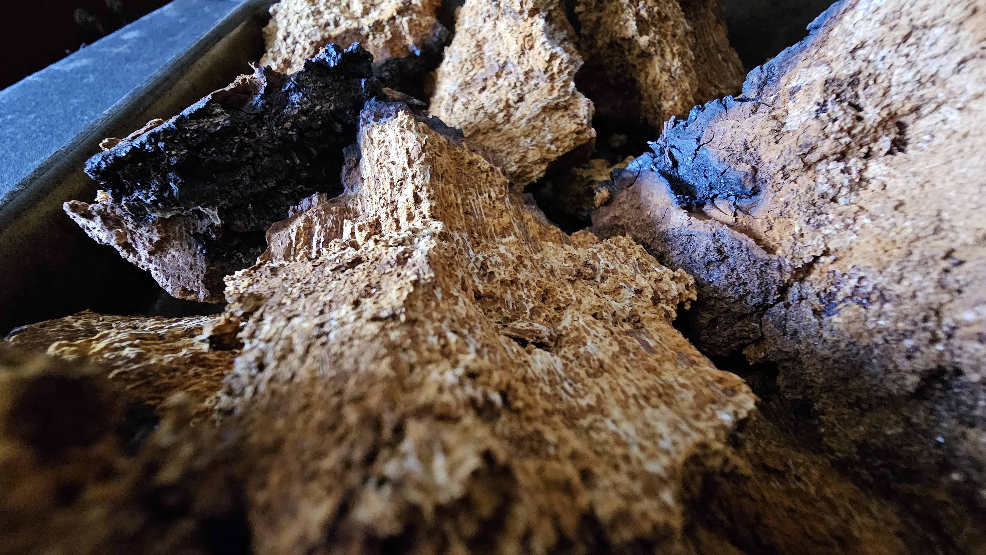 Wild Ground Chaga 8oz