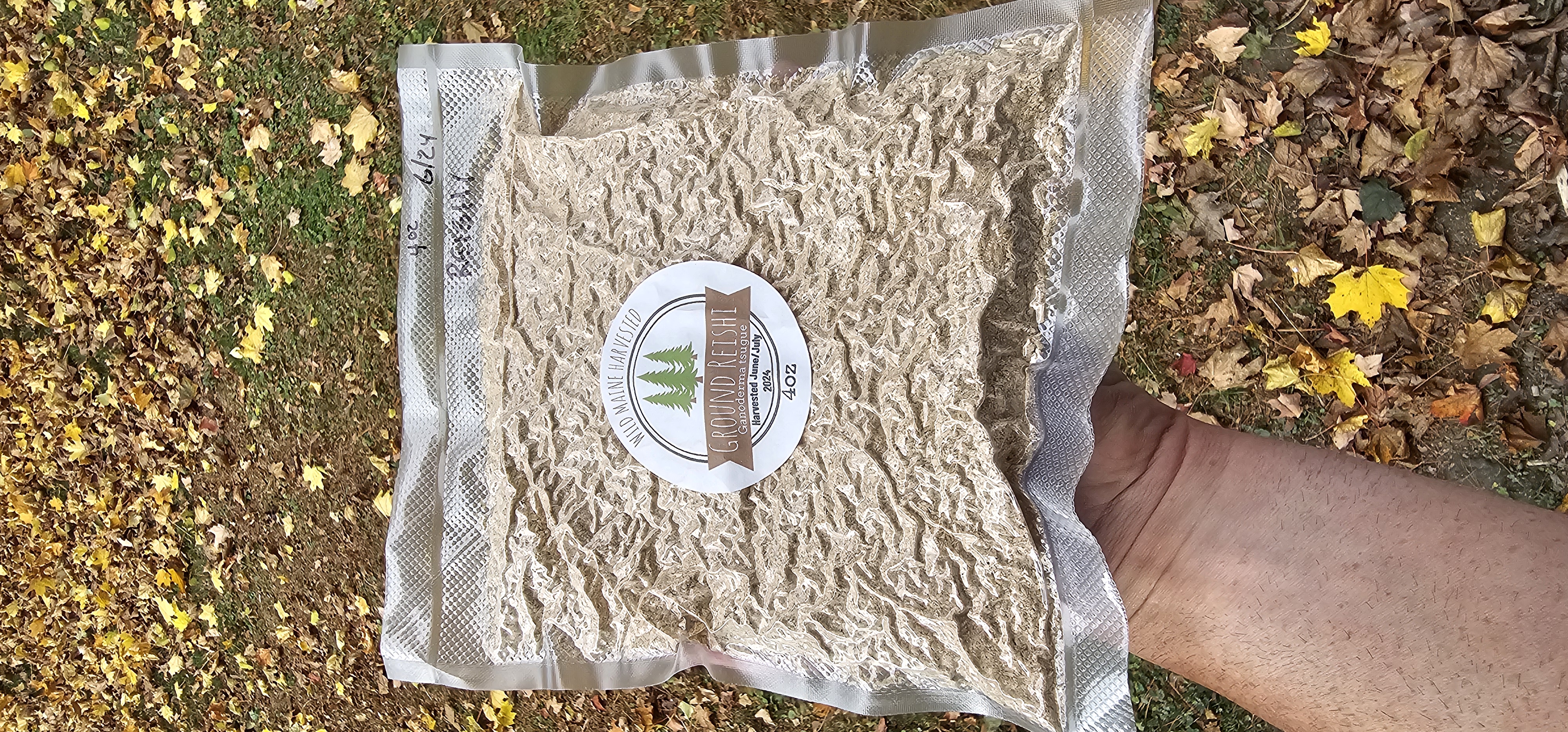 4oz Vaccuum Sealed Package of Wild Dehydrated Ground Reishi (Ganoderma Tsugue)