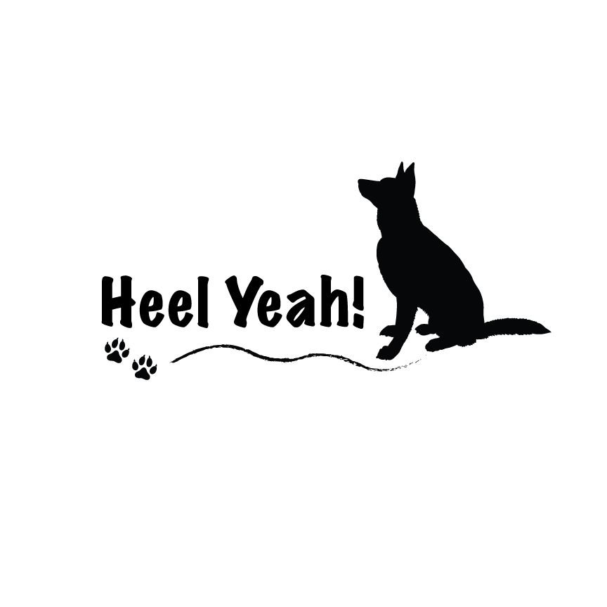 Dog Training SVG PNG, Funny Puppy Training Artwork / Dog Trainer Quote
