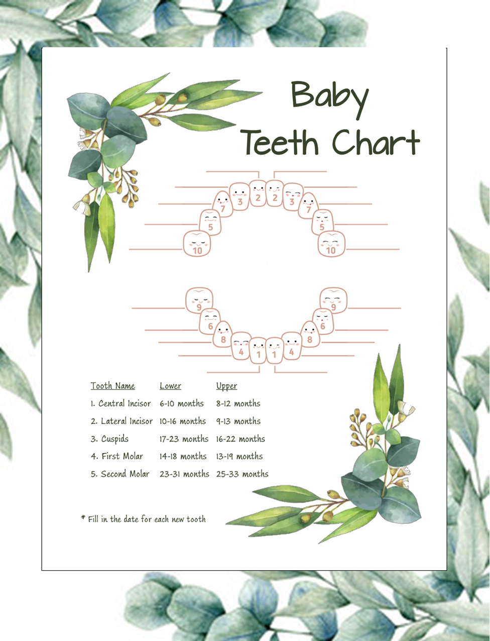 Eucalyptus Baby Teeth Chart – Printable Baby Milestone Tracker