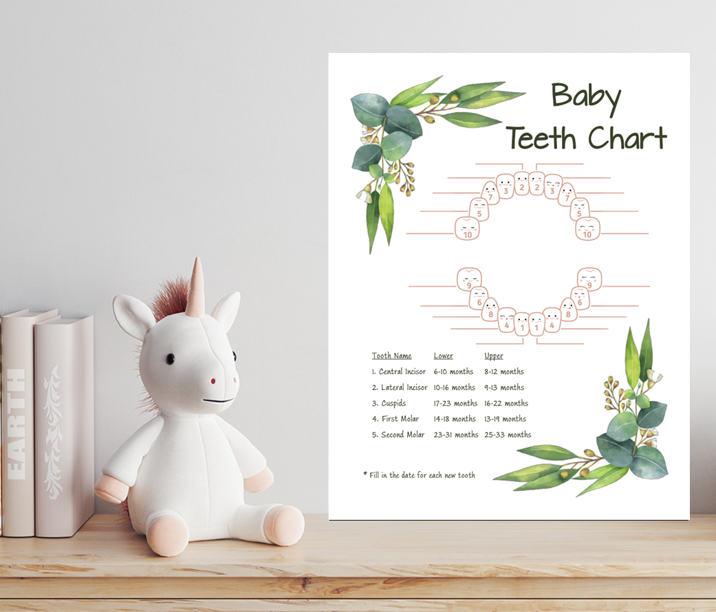 Eucalyptus Baby Teeth Chart – Printable Baby Milestone Tracker