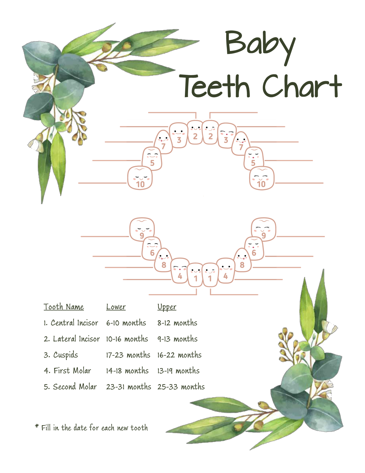 Eucalyptus Baby Teeth Chart – Printable Baby Milestone Tracker