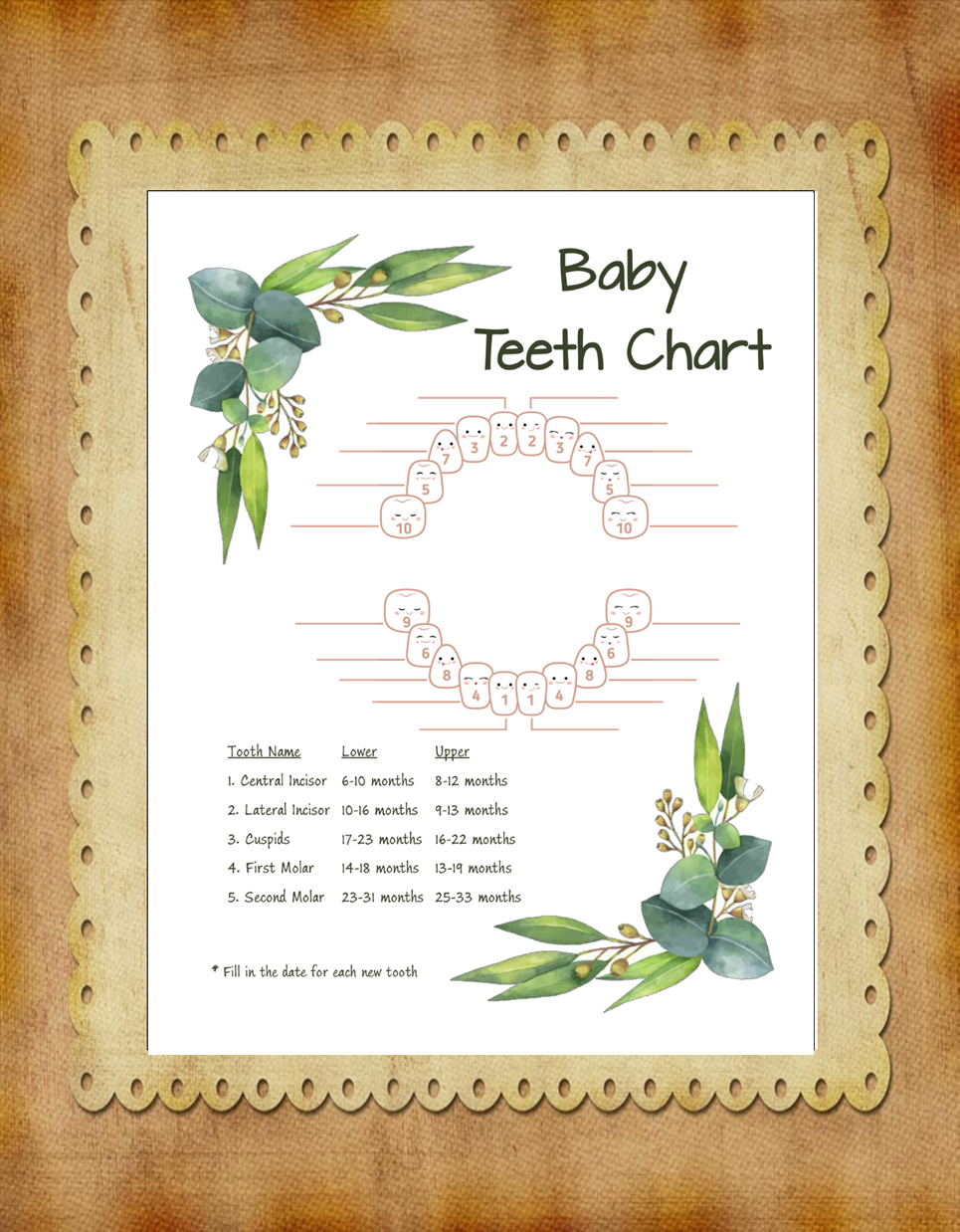 Eucalyptus Baby Teeth Chart – Printable Baby Milestone Tracker
