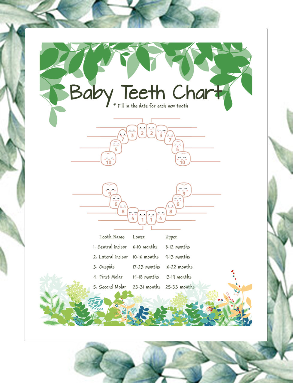 Floral Teeth Chart – Printable Baby Milestone Tracker