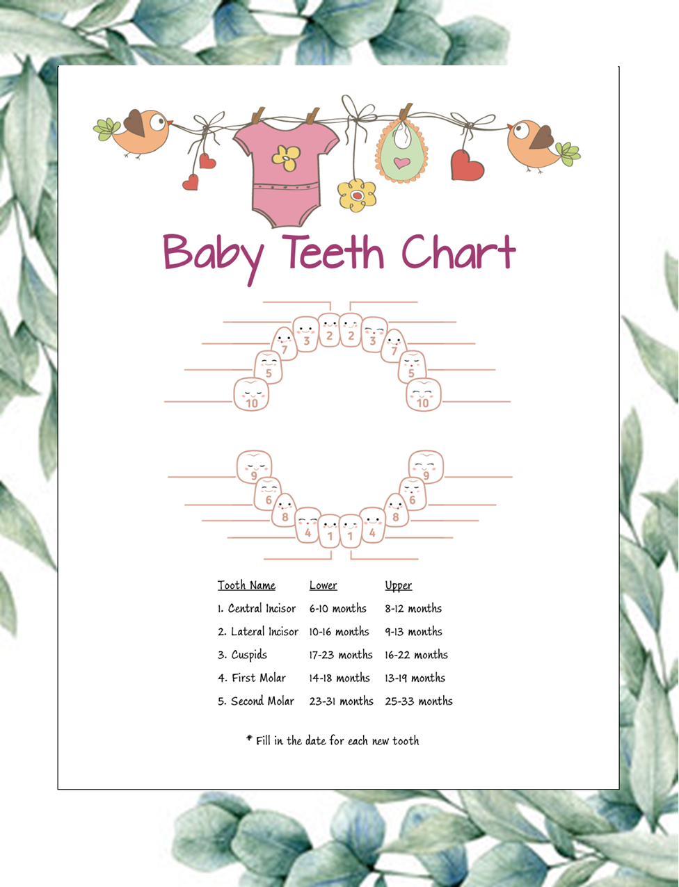 Pink clothes line Teeth Chart – Printable Baby Milestone Tracker