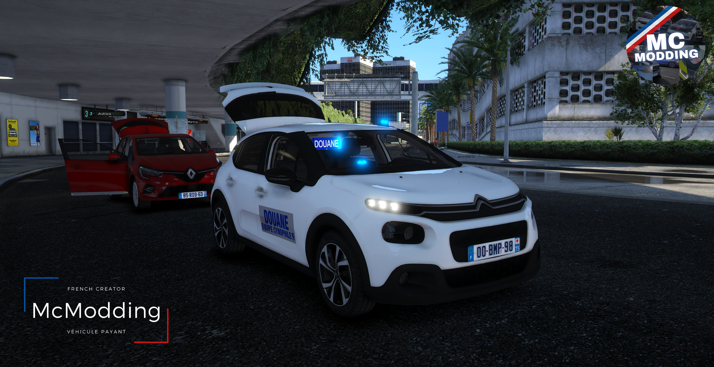 Citroën C3 | Douane