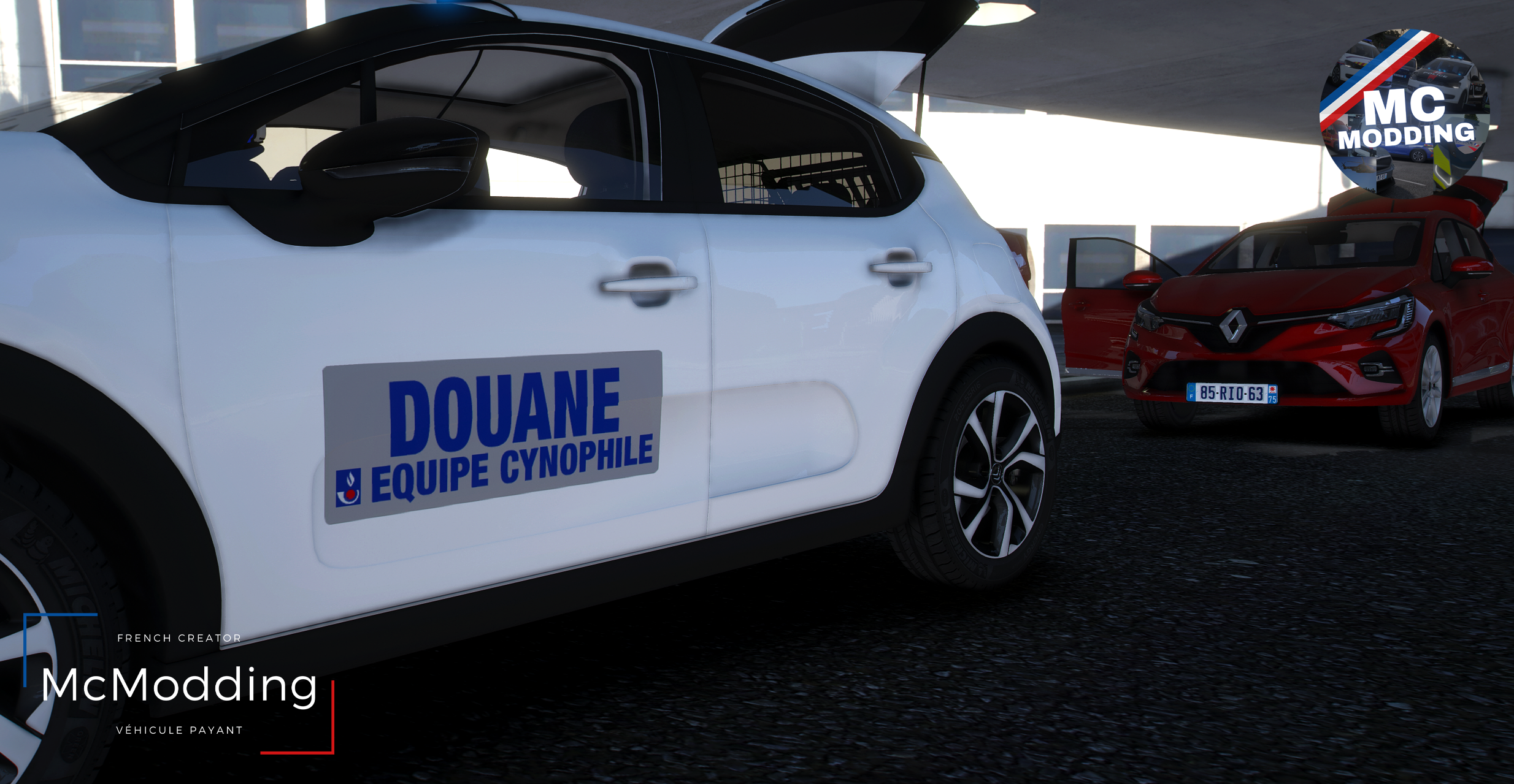 Citroën C3 | Douane