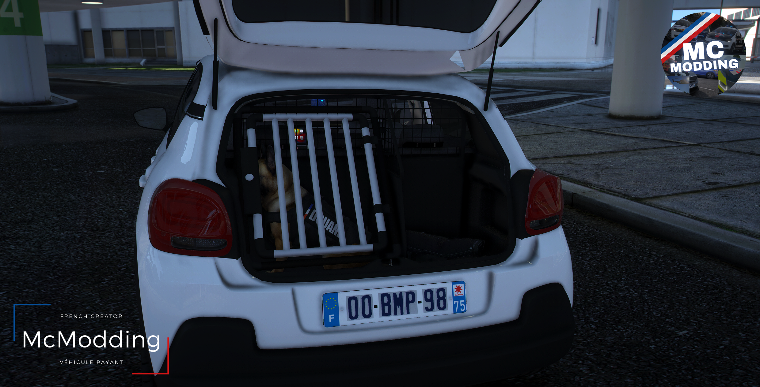 Citroën C3 | Douane