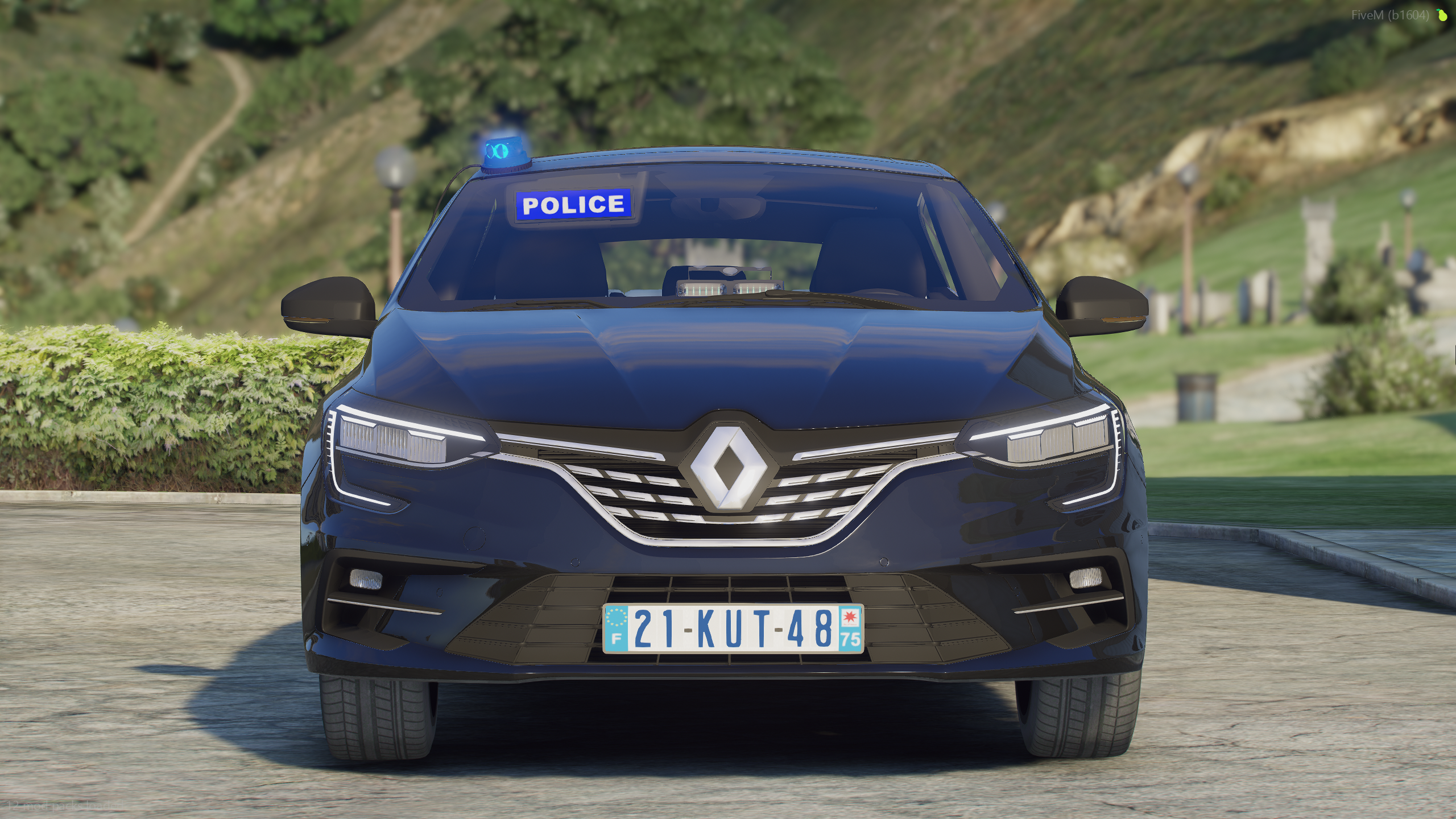 Renault Megane | Bana