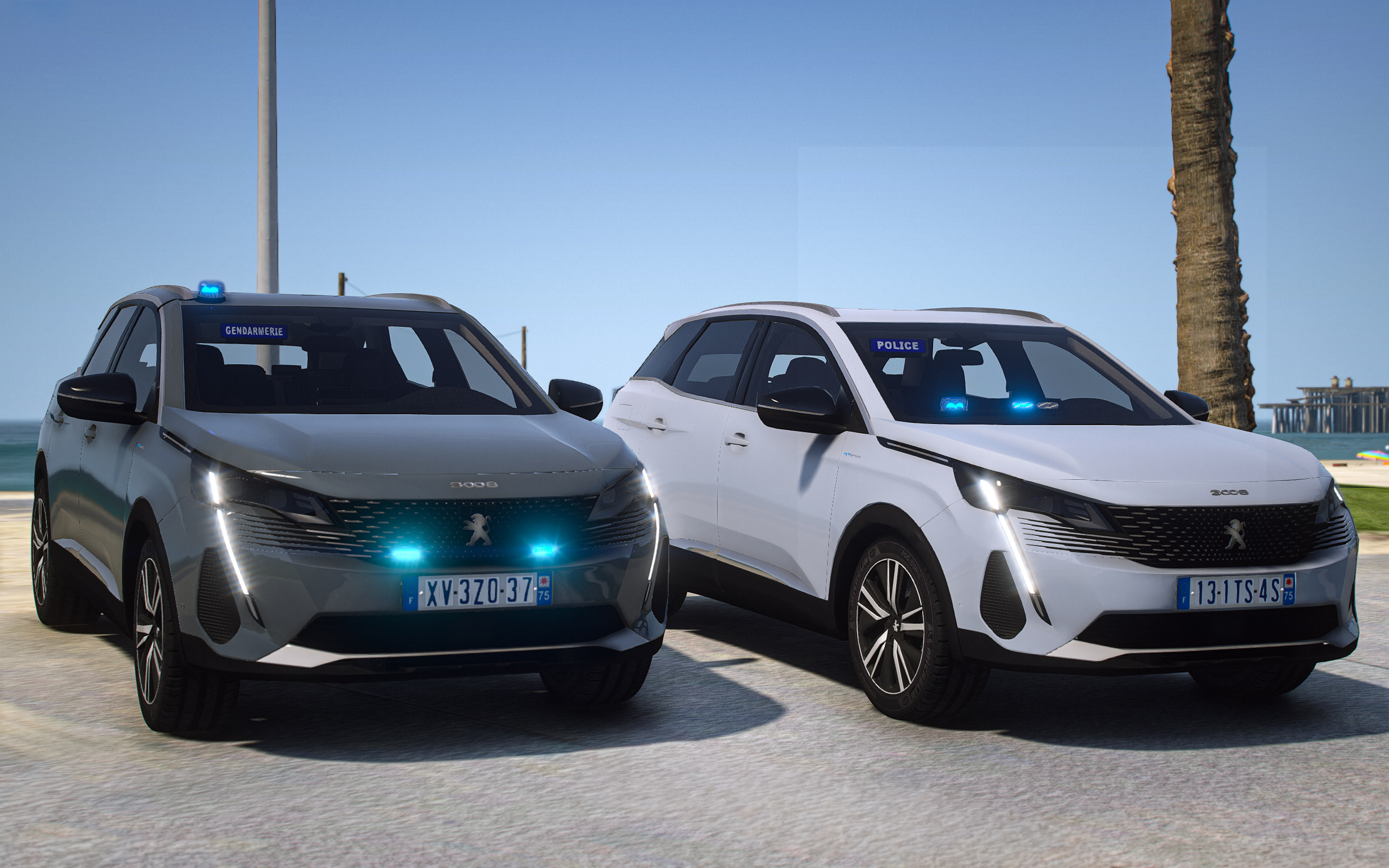 Peugeot 3008 | Banalisé