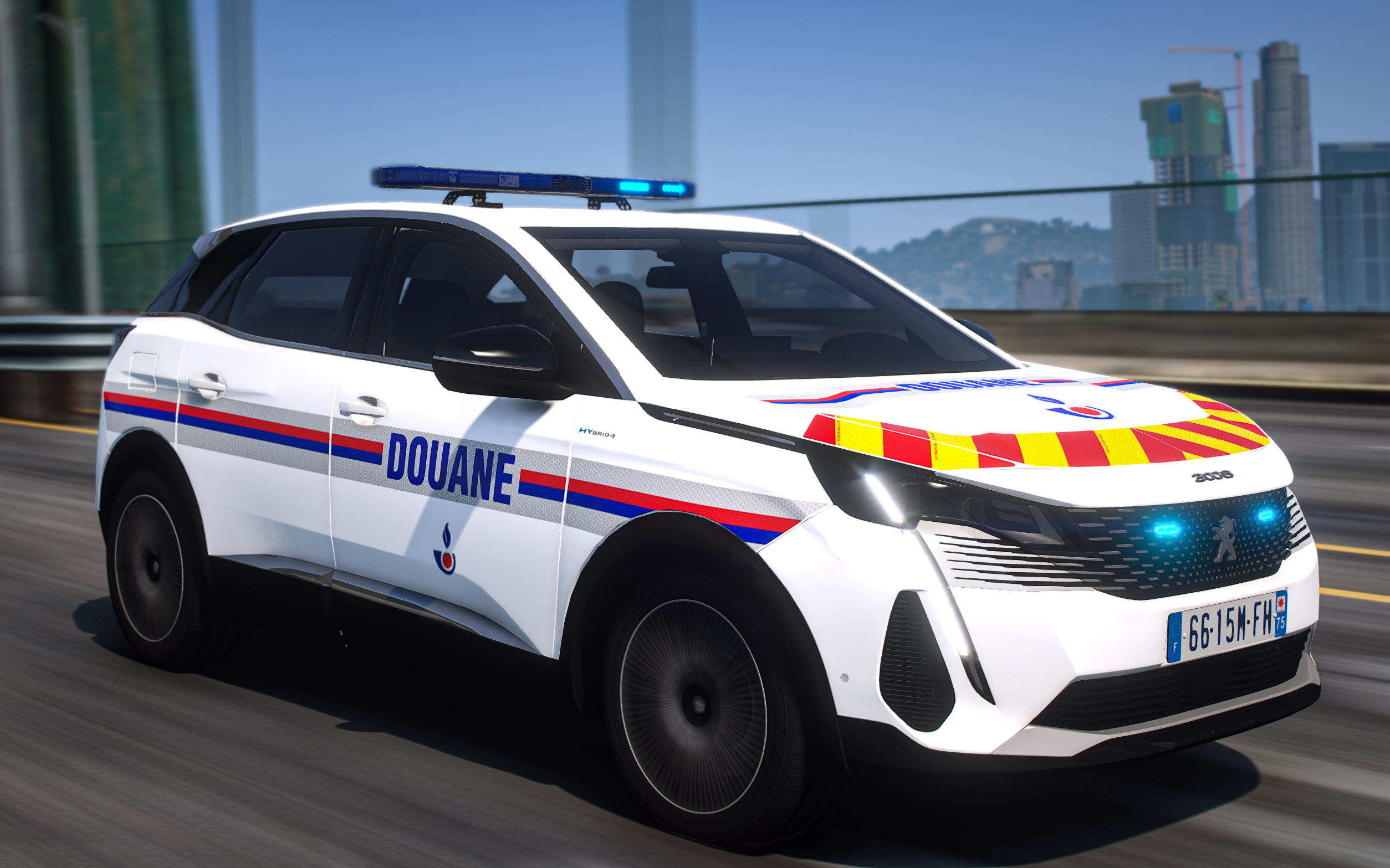 Peugeot 3008 | Douane