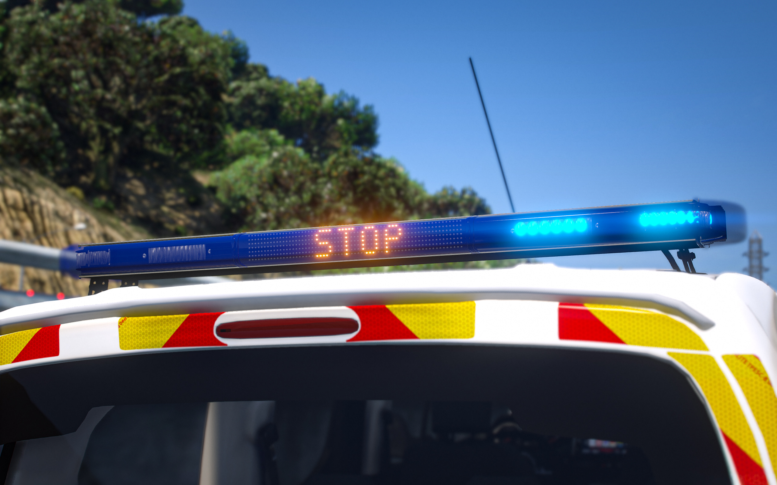 Rifter Long | Douane