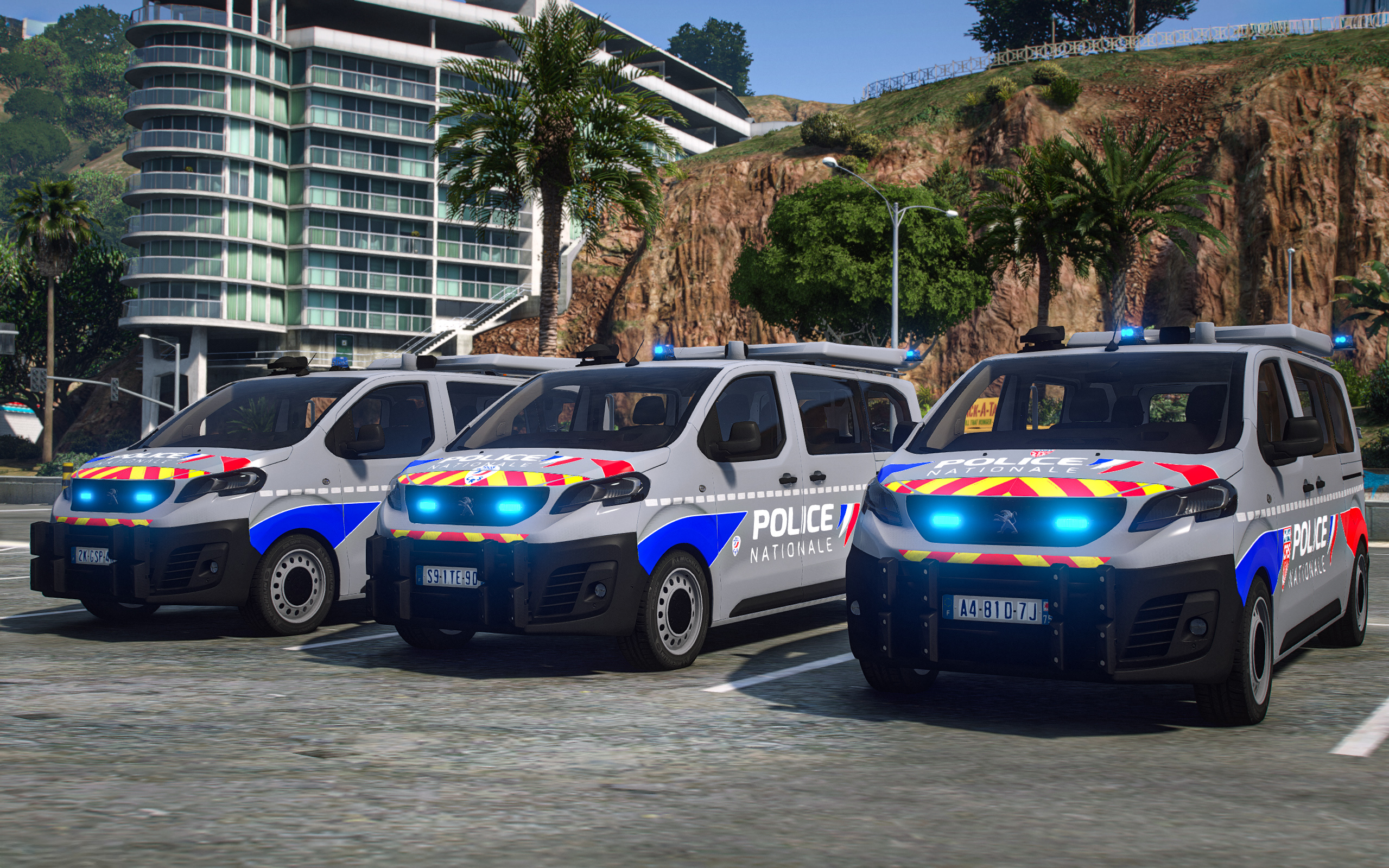 Peugeot Expert | CRS