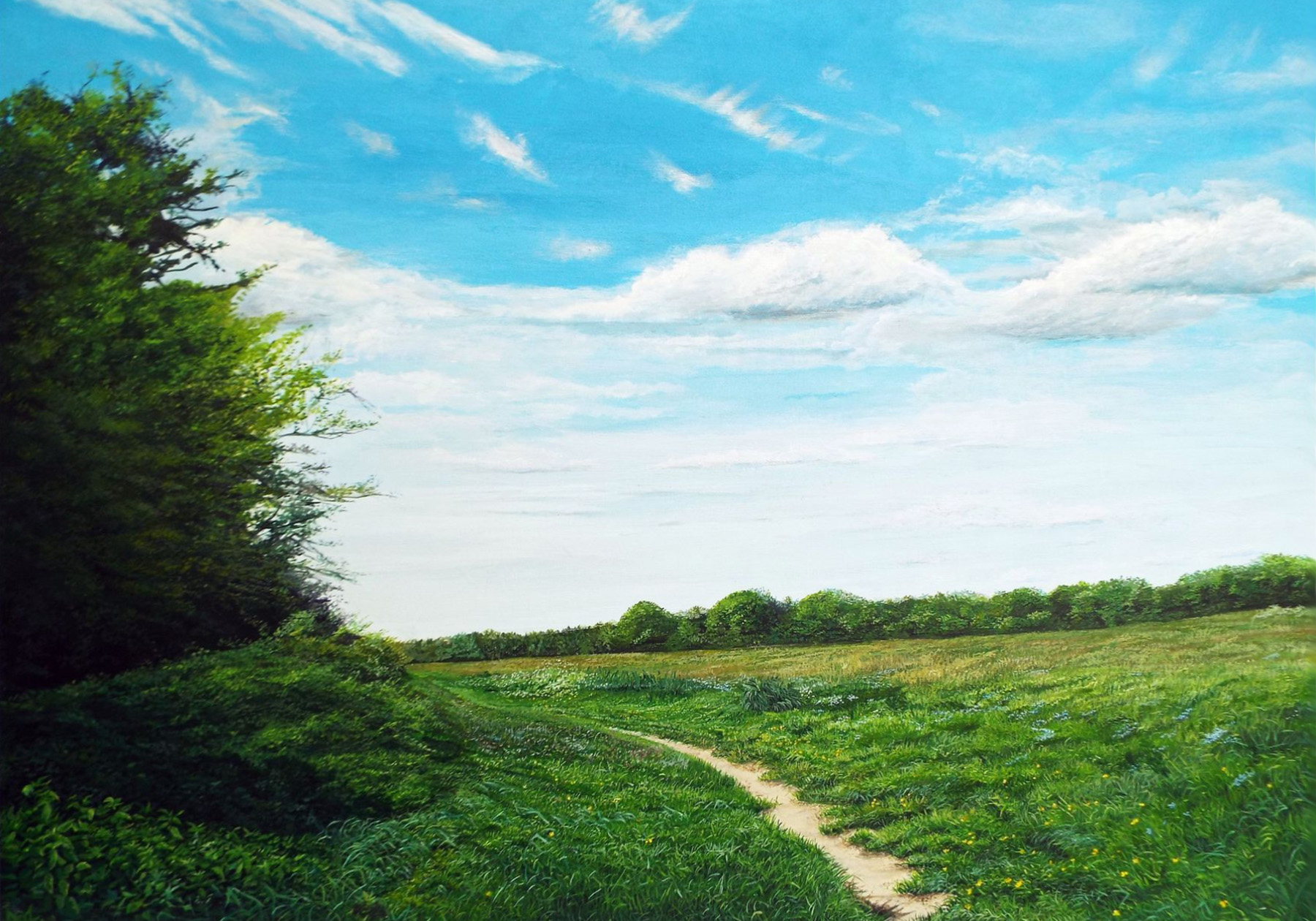 Following Summer Paths