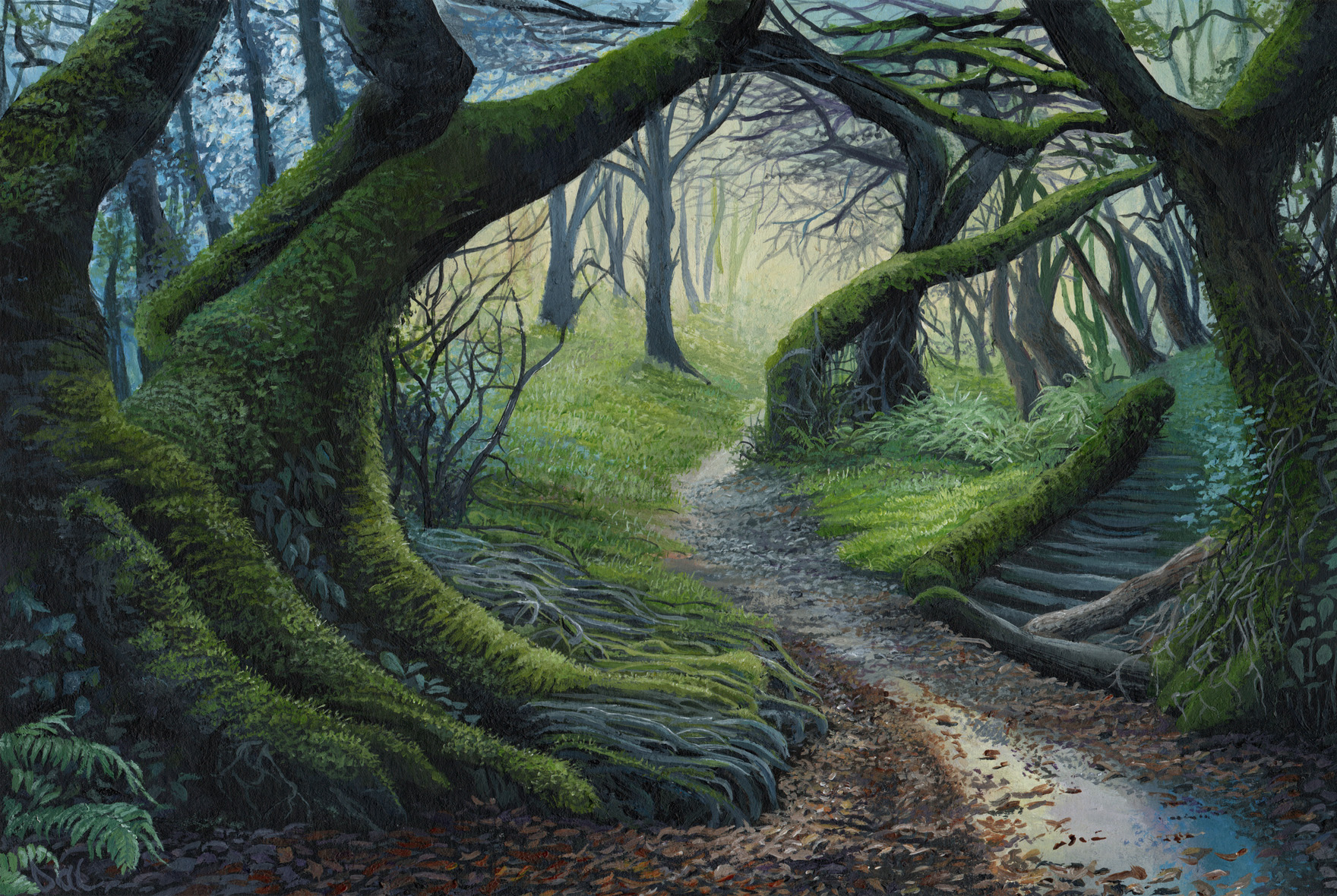 Along The Wooded Path