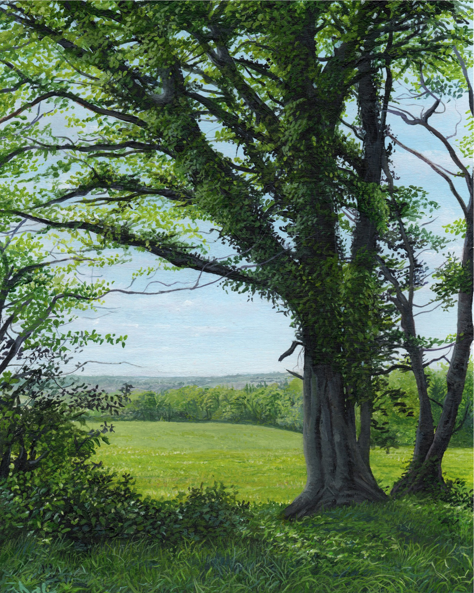 A Hidden View - From Summer Shade