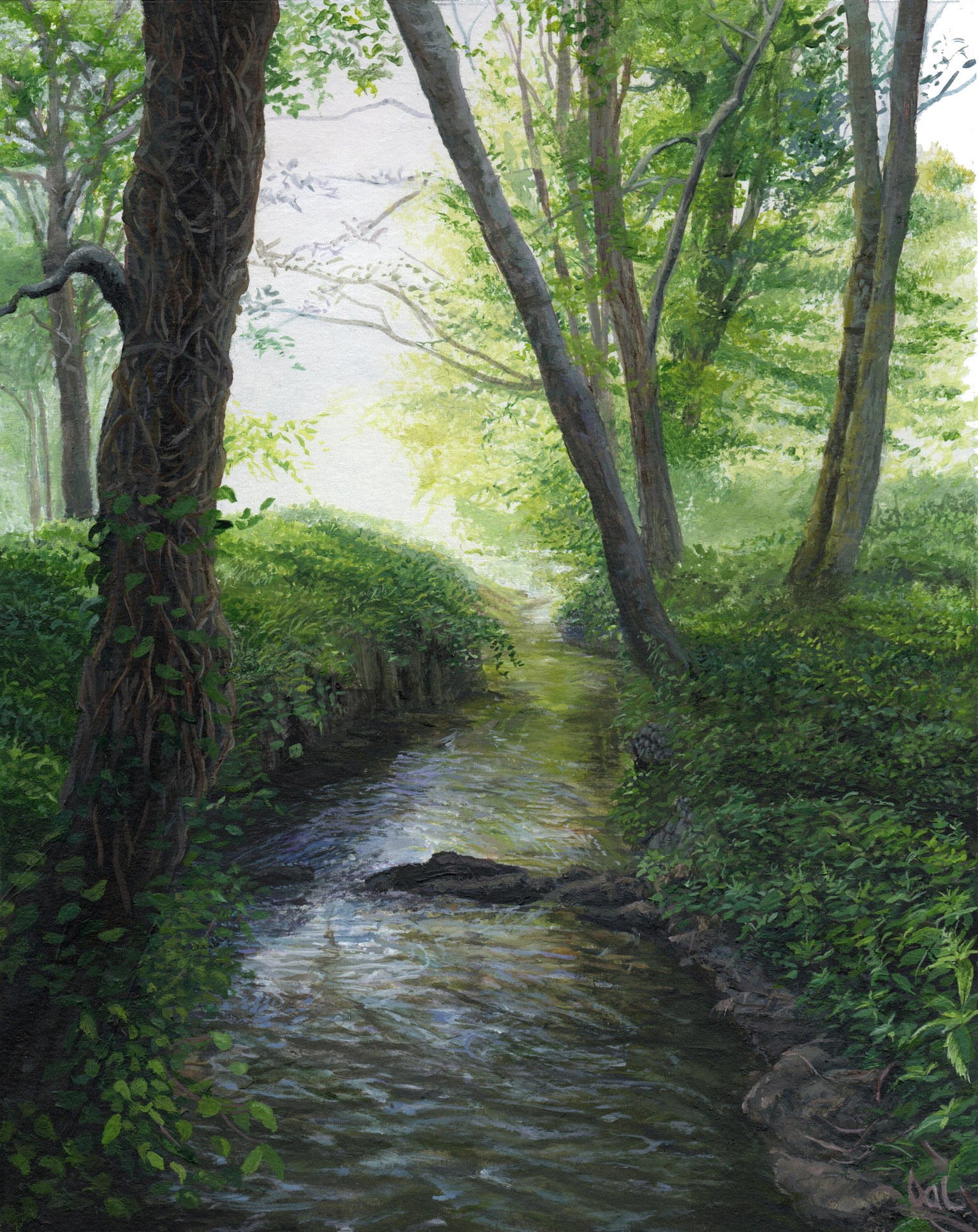 Shortbridge Stream