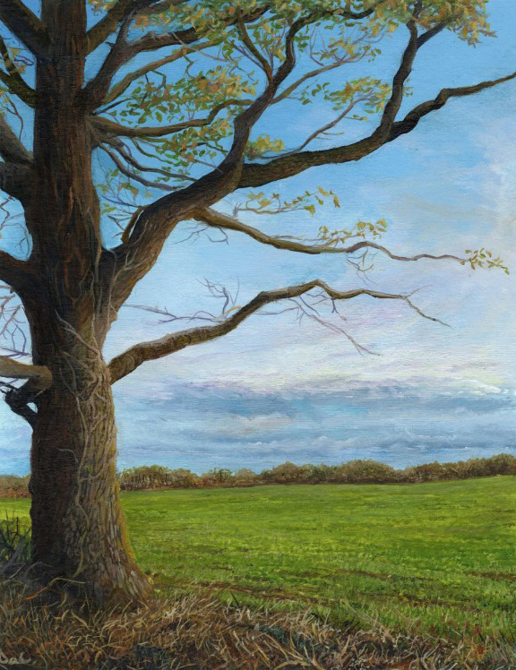 From The Fields Edge