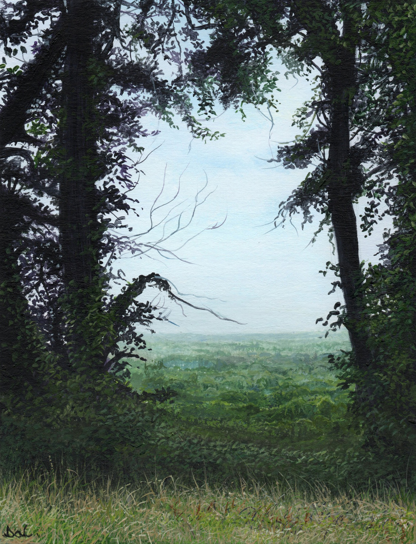 A Hidden View