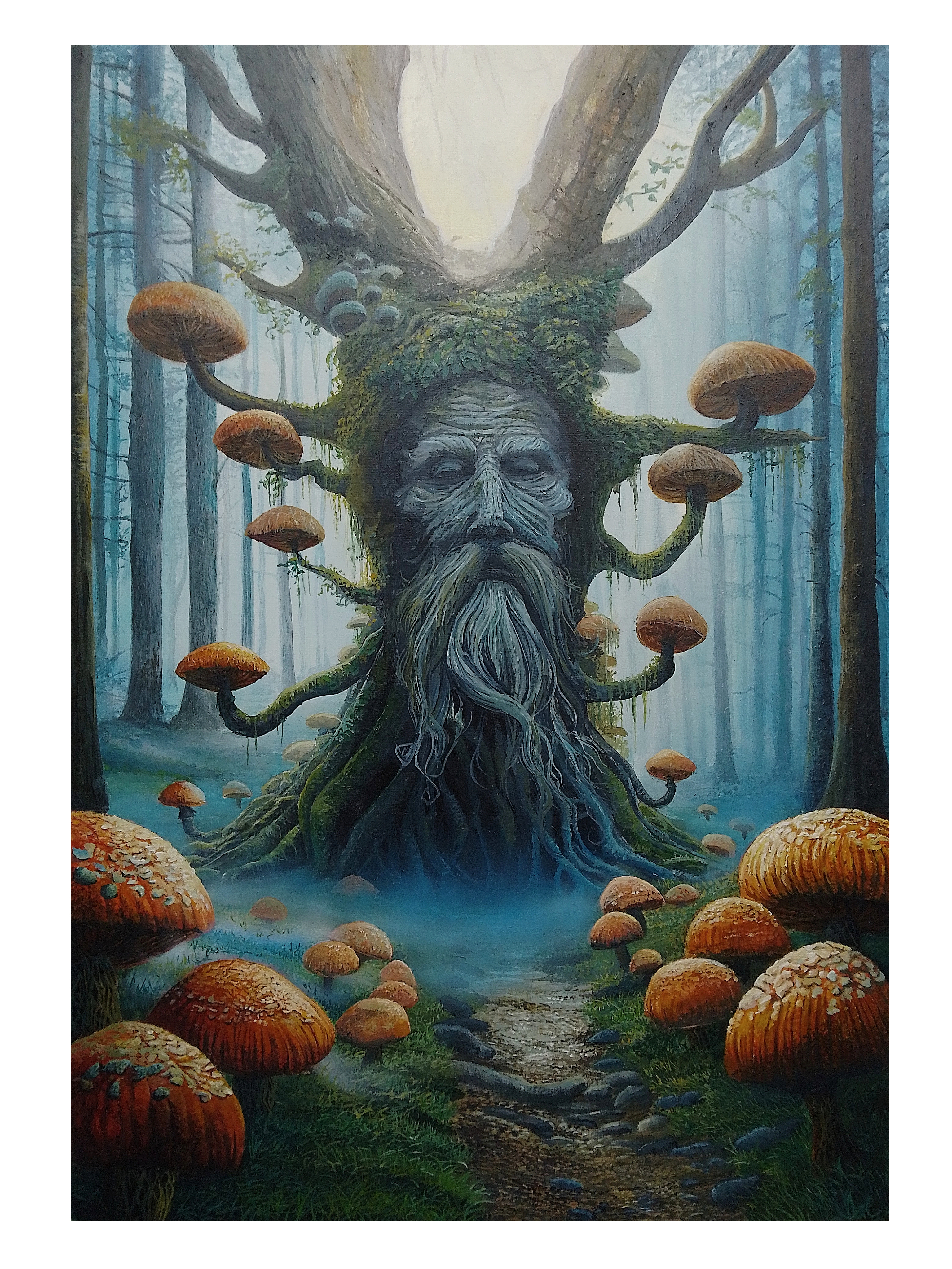 Wise Wood - dream infusion