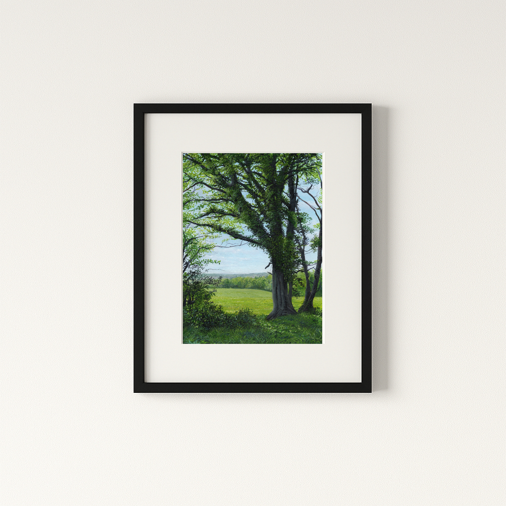 A Hidden View - From Summer Shade