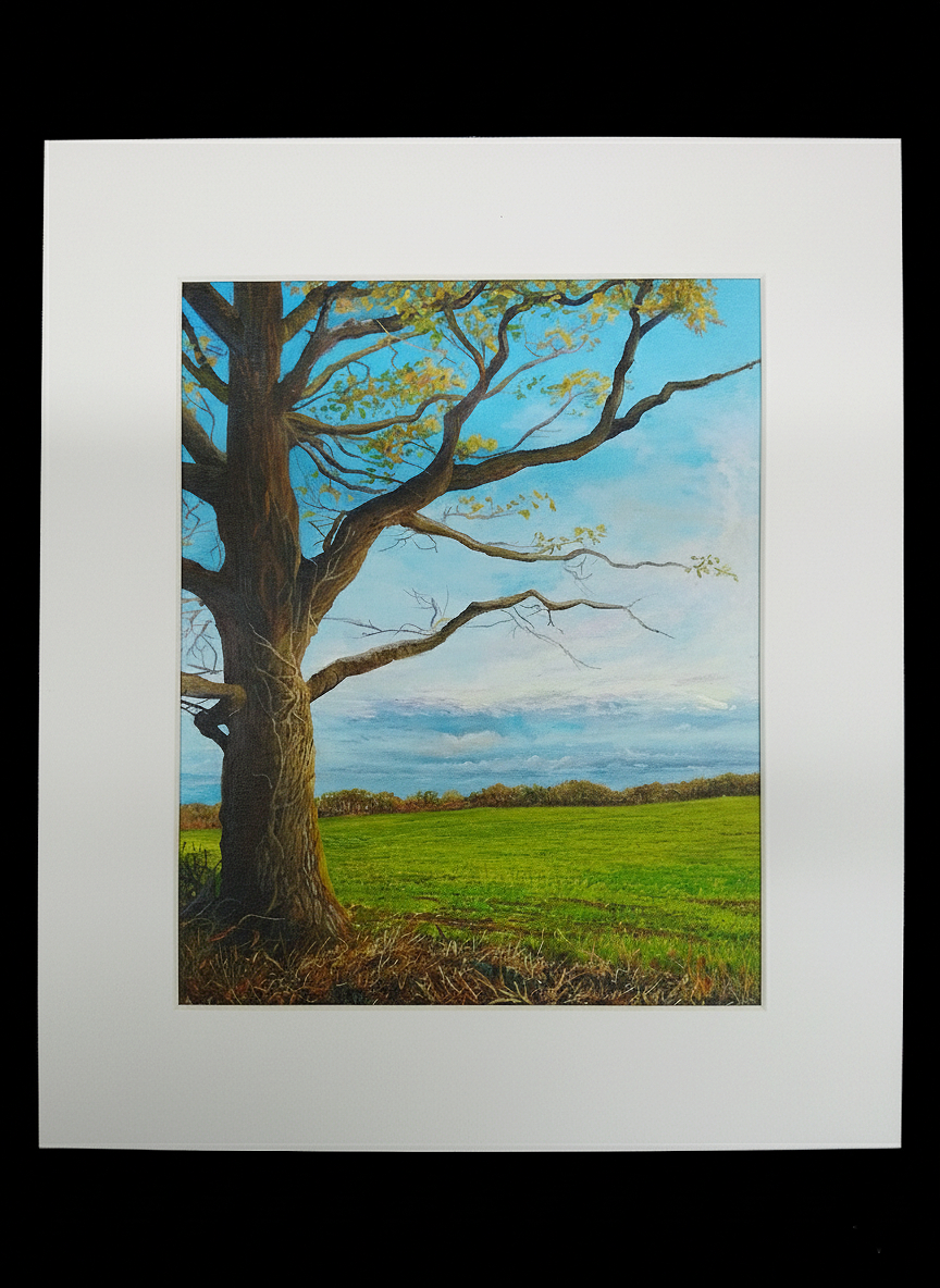 From The Fields Edge