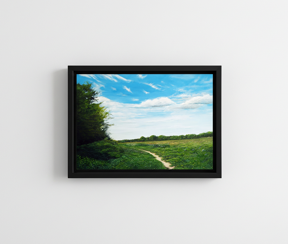 Following Summer Paths