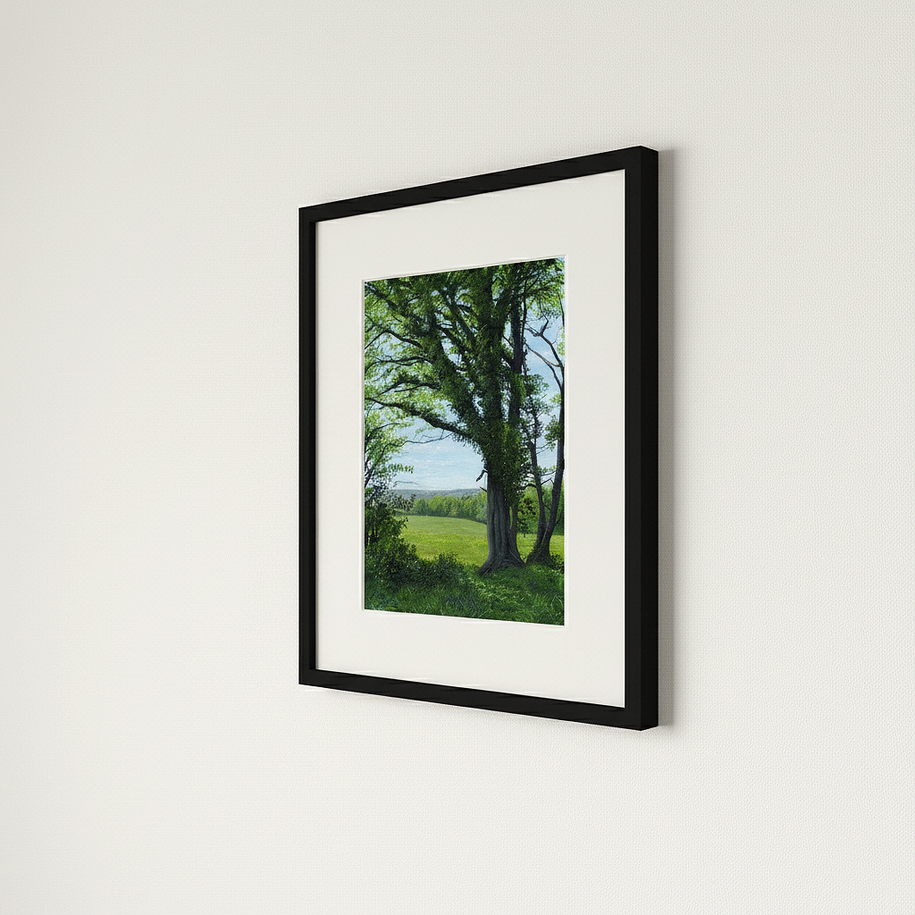 A Hidden View - From Summer Shade