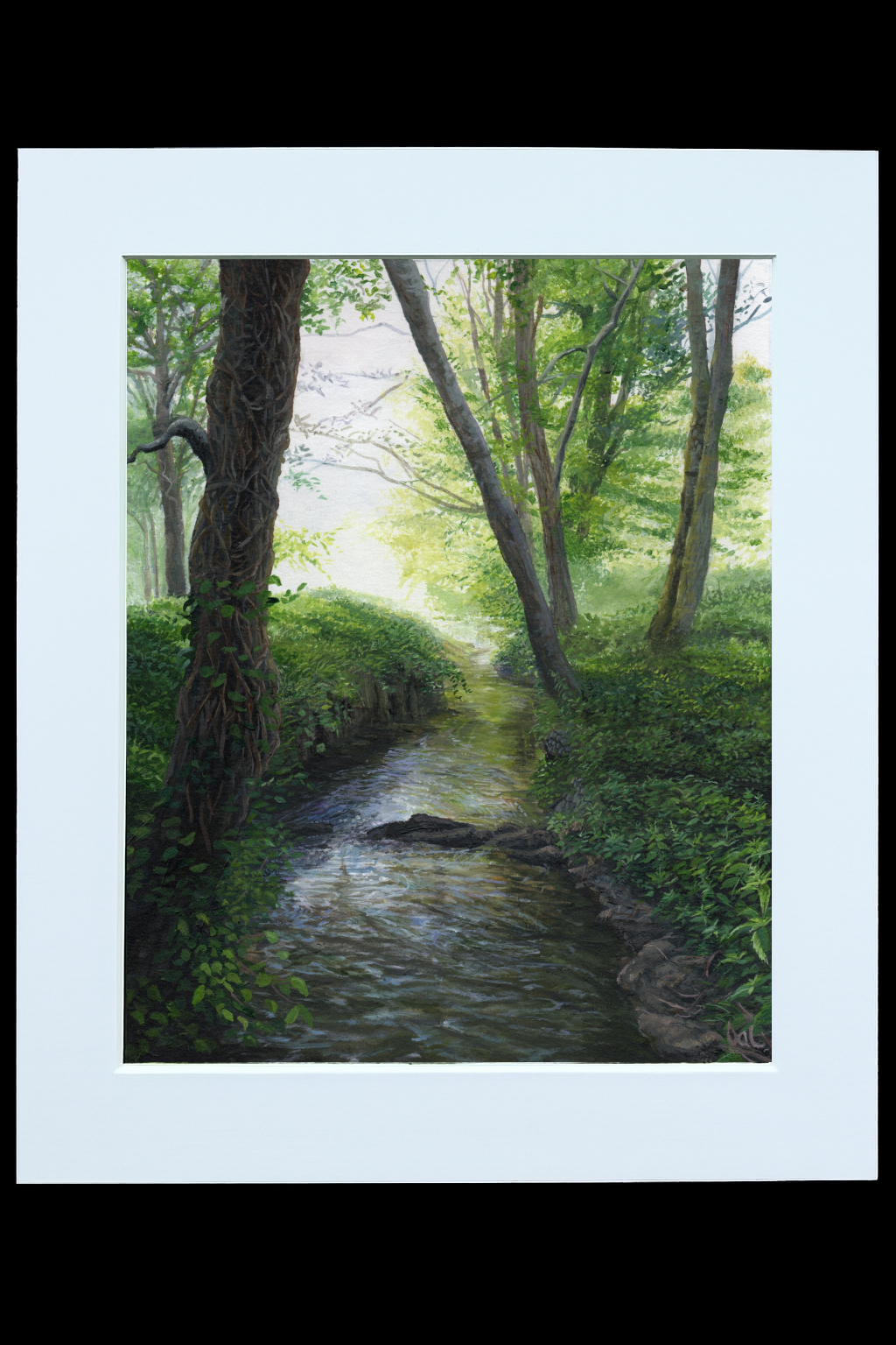 Shortbridge Stream