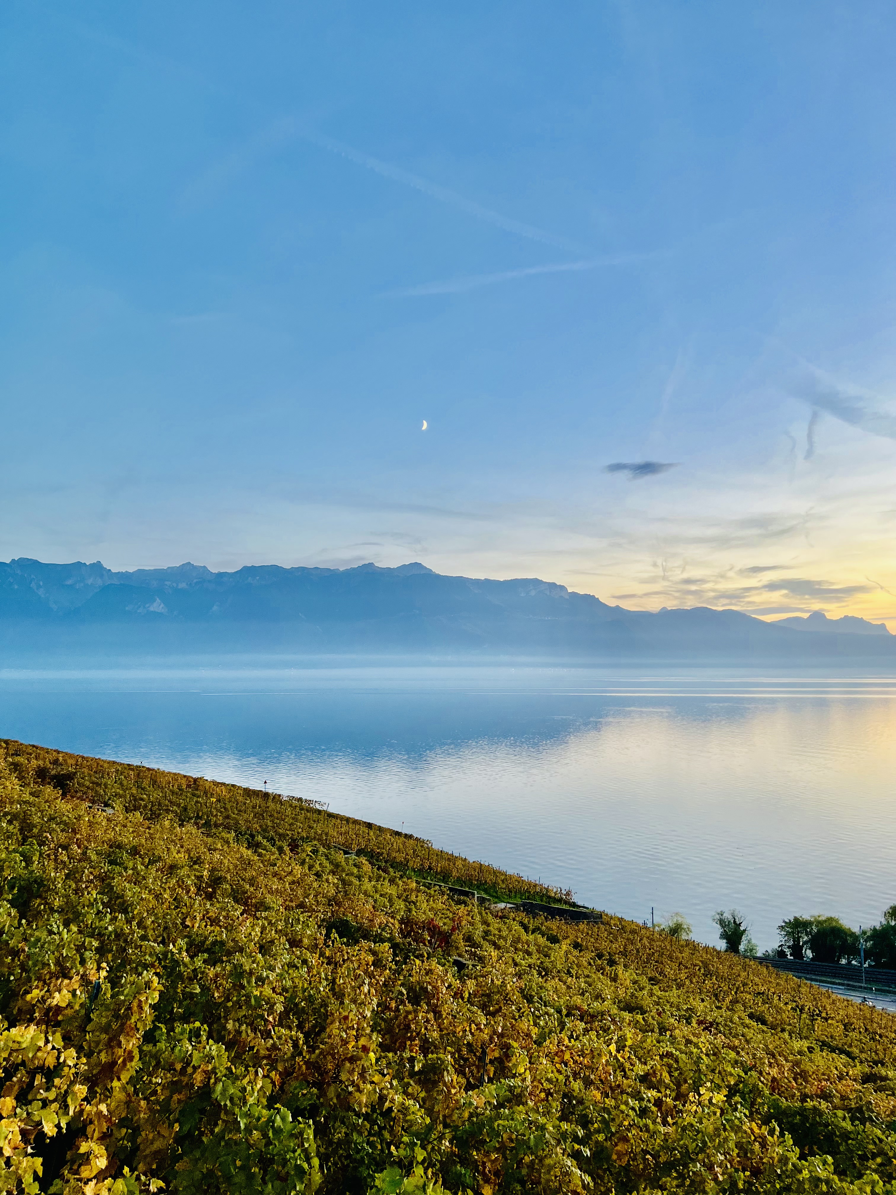 Pack 5x online coaching