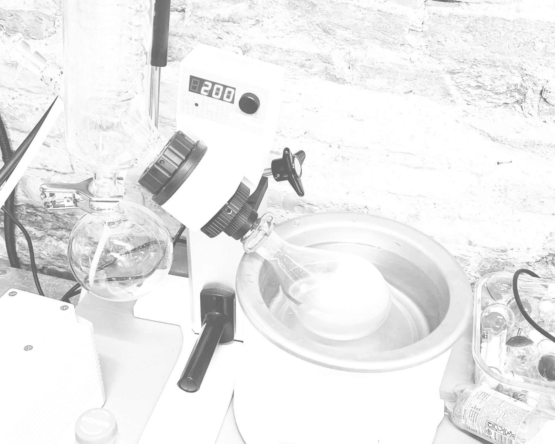 Lecture / Tea tasting with Jan Glöckner _ November 9