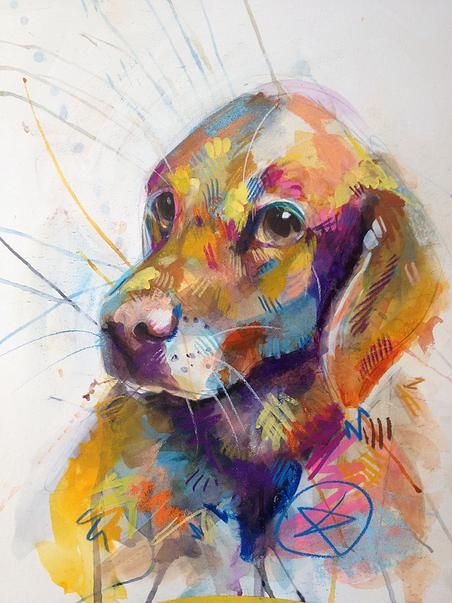 Abstract Dog Portrait