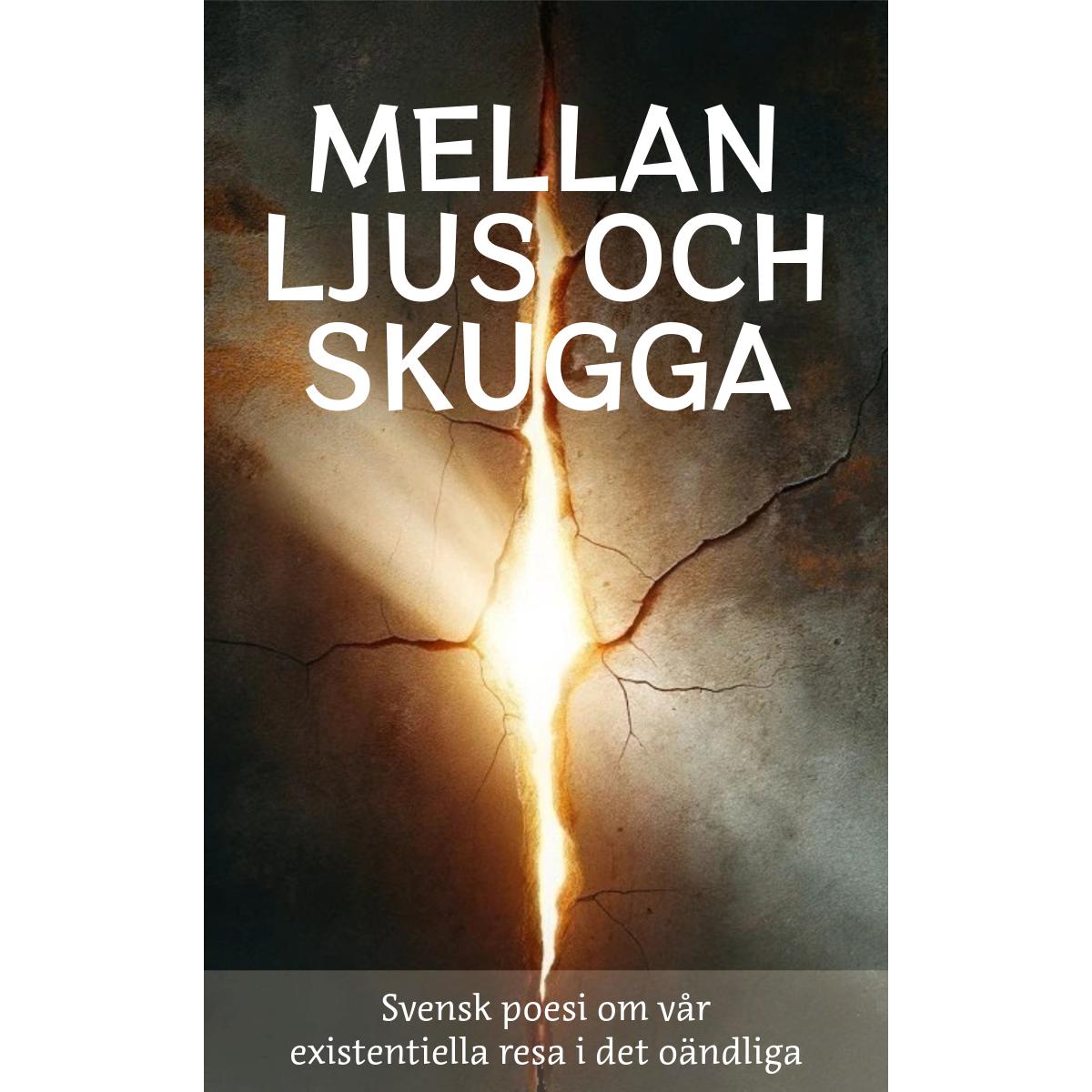 Mellan Ljus och Skugga