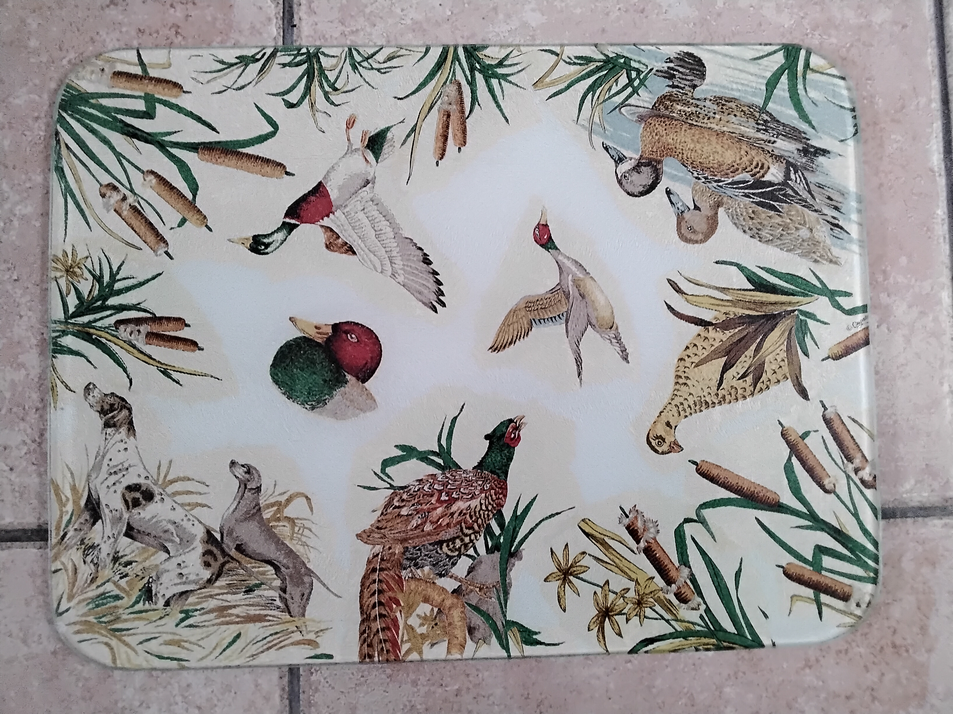 Plaque en verre . Repose plat .