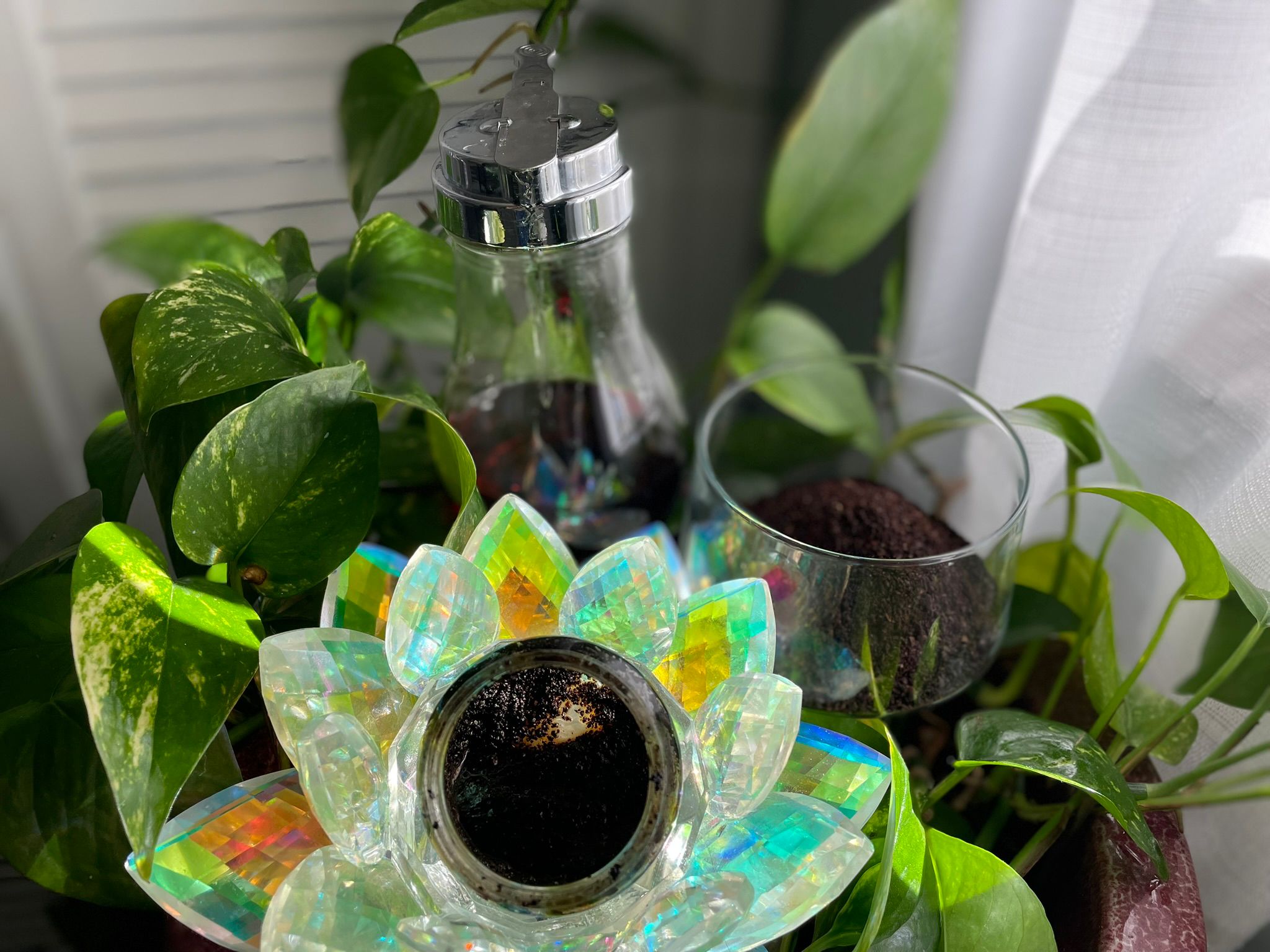 Guía de Exfoliante de Café y Miel 