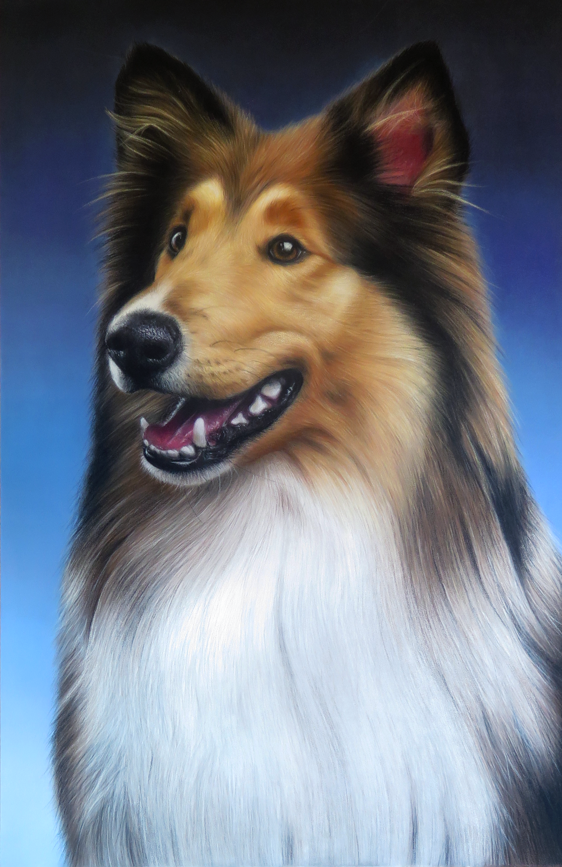 Pintura de perro Collie