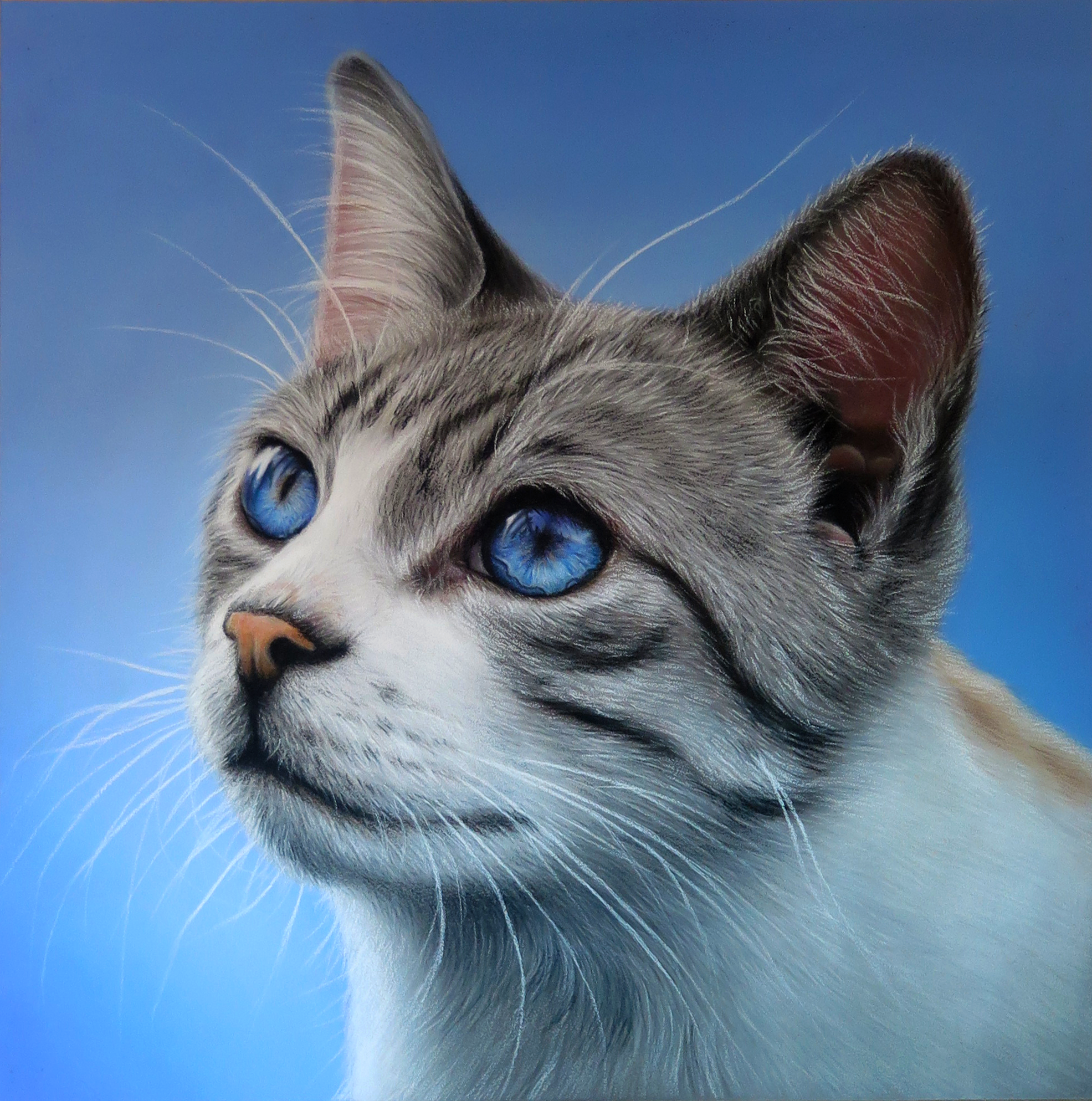 Pintura de gato con ojos azules